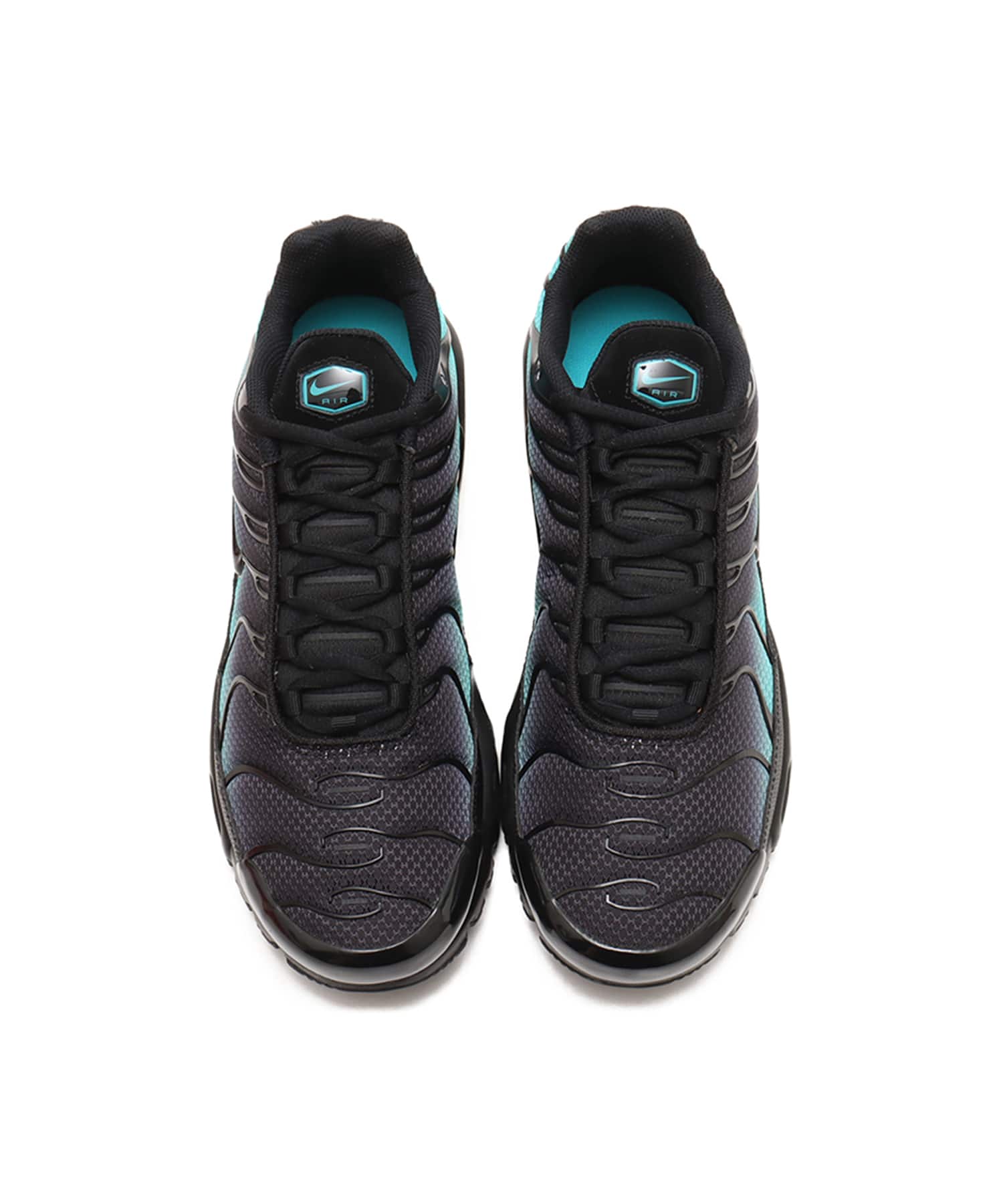 NIKE AIR MAX PLUS BLACK/BLACK-DUSTY CACTUSの画像