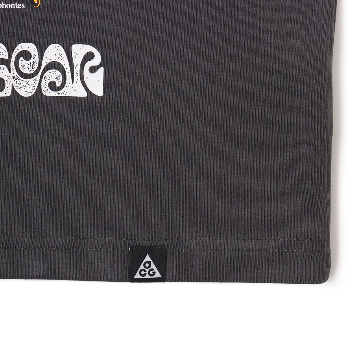 NIKE AS W NSW ACG TEE SP25 ANTHRACITE（ナイキ ウィメンズ NSW