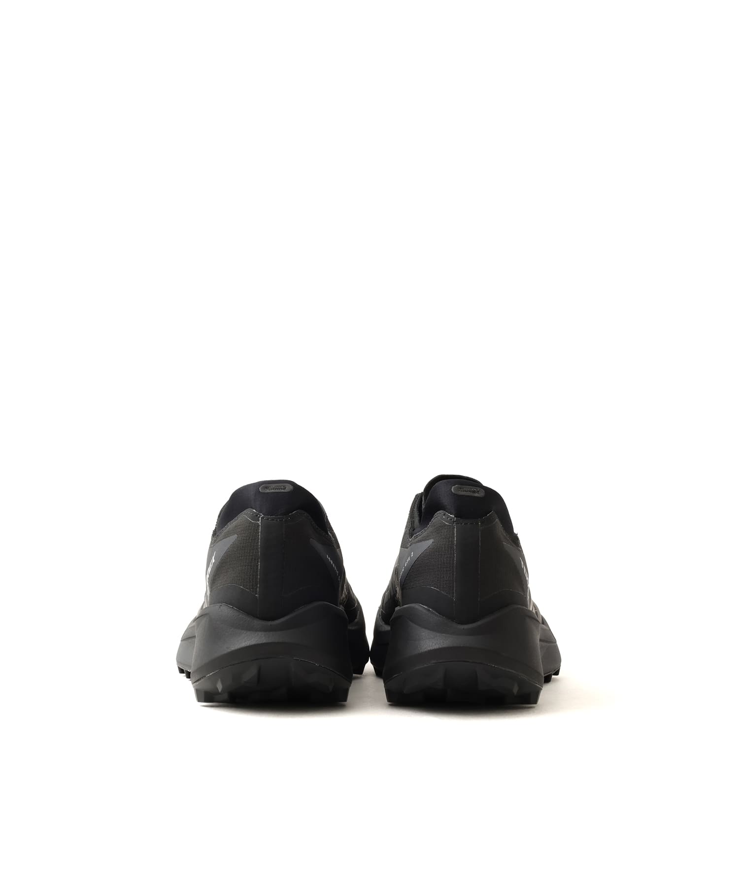 adidas TERREX AGRAVIC GTX 2 CBLACK/GRESIX/CARBONの画像