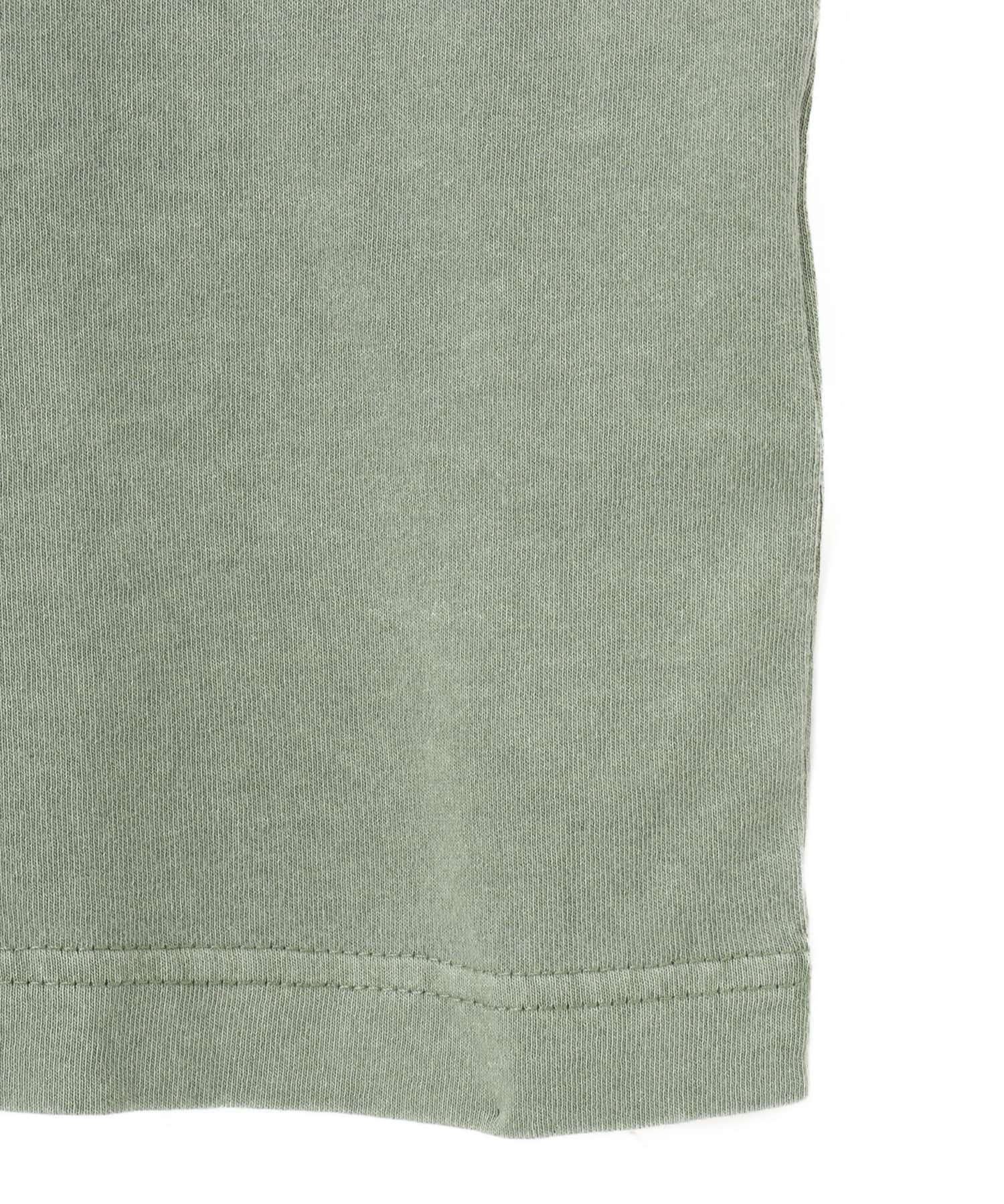 CARHARTT S/S NELSON T-SHIRT Park / garment dyedの画像