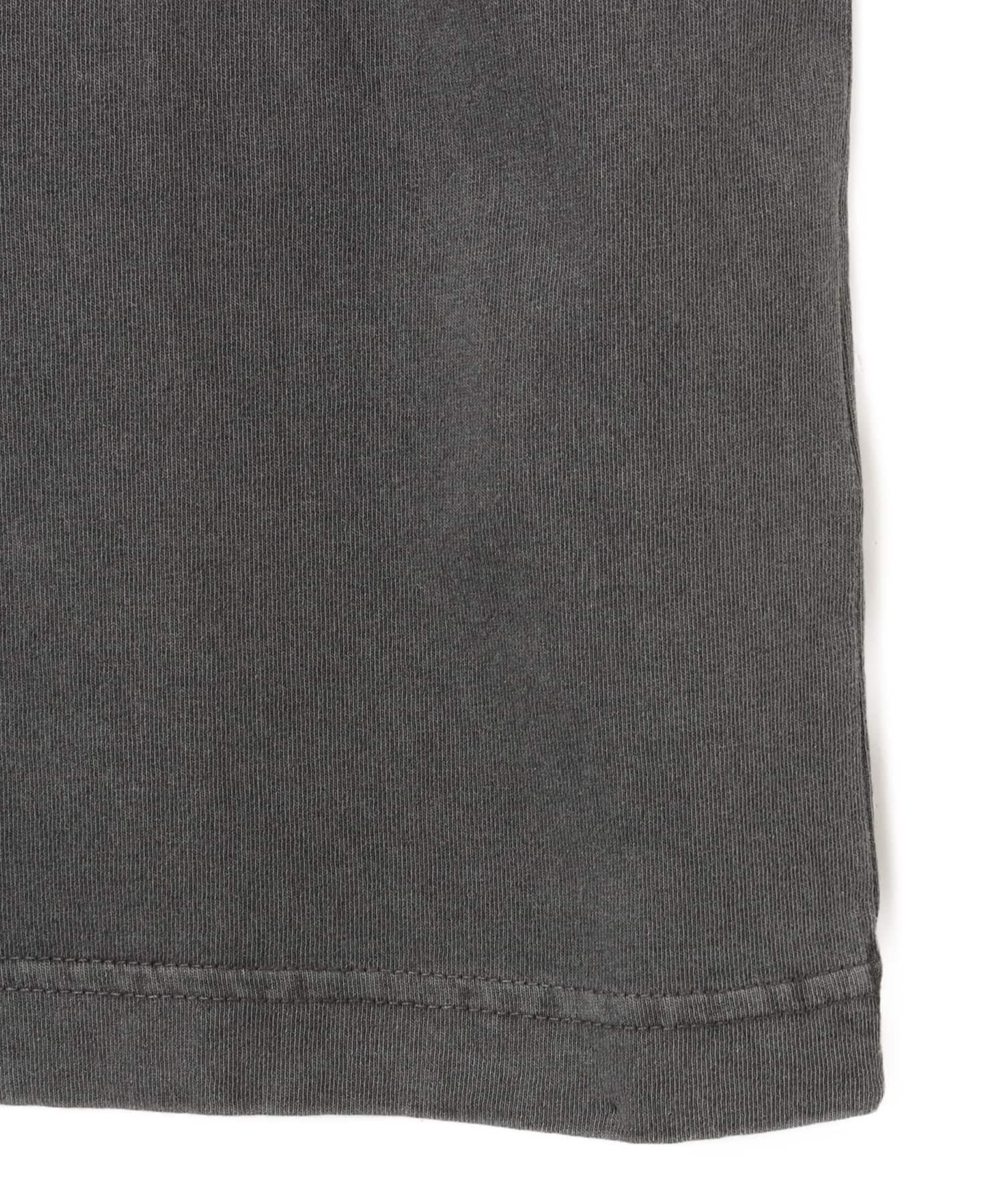 CARHARTT S/S NELSON T-SHIRT Graphiteの画像