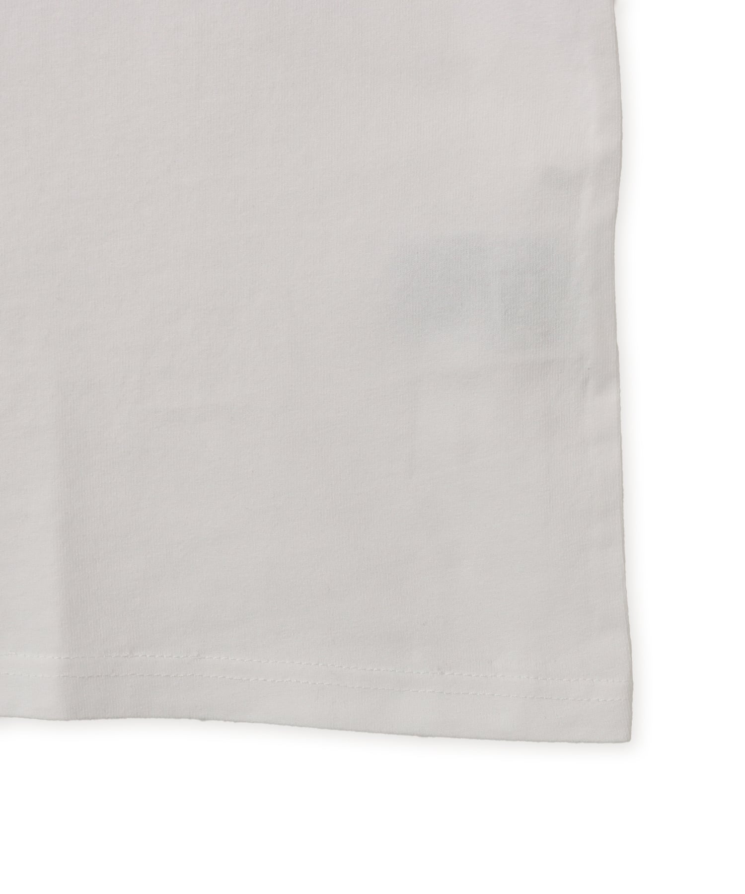 CARHARTT S/S VESTIGE T-SHIRT White stone washedの画像