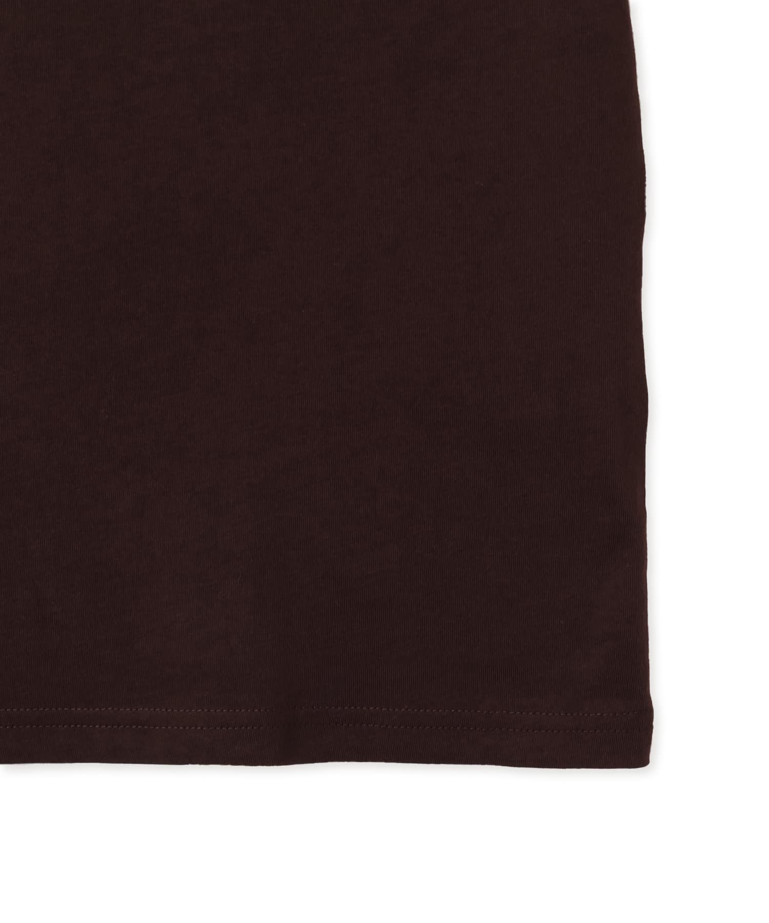 CARHARTT S/S CHEZ WIP T-SHIRT Palisanderの画像