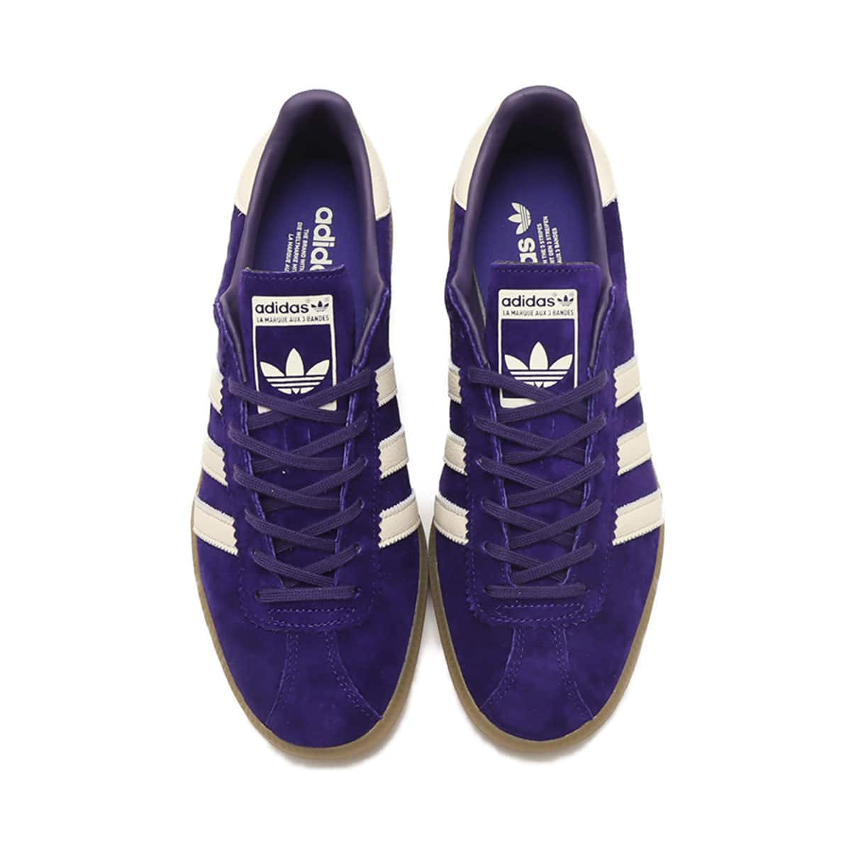 adidas BERMUDA COLLEGEPURPLE/CREAMWHITE/DARKPURPLE 23FW-I