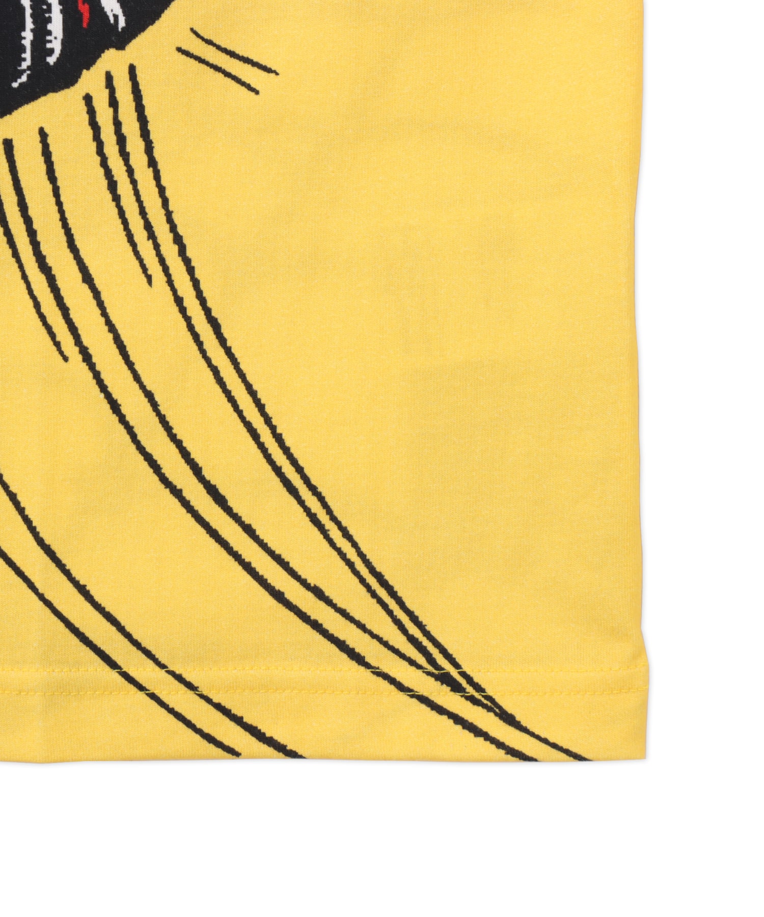 JORDAN BRAND M J ESS BOXY SS GX CREW P6 VARSITY MAIZEの画像