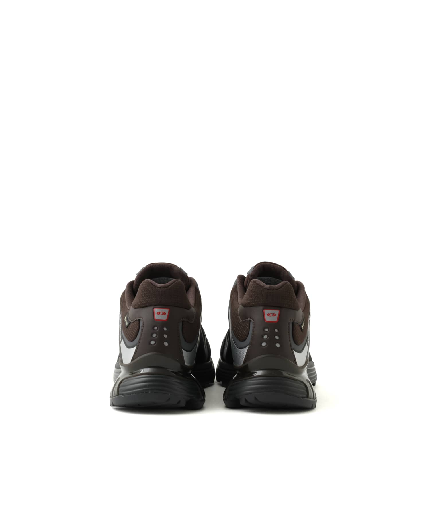 SALOMON XT-WHISPER GTX DELICIOSO/ASPHALT/CASTLEROCKの画像