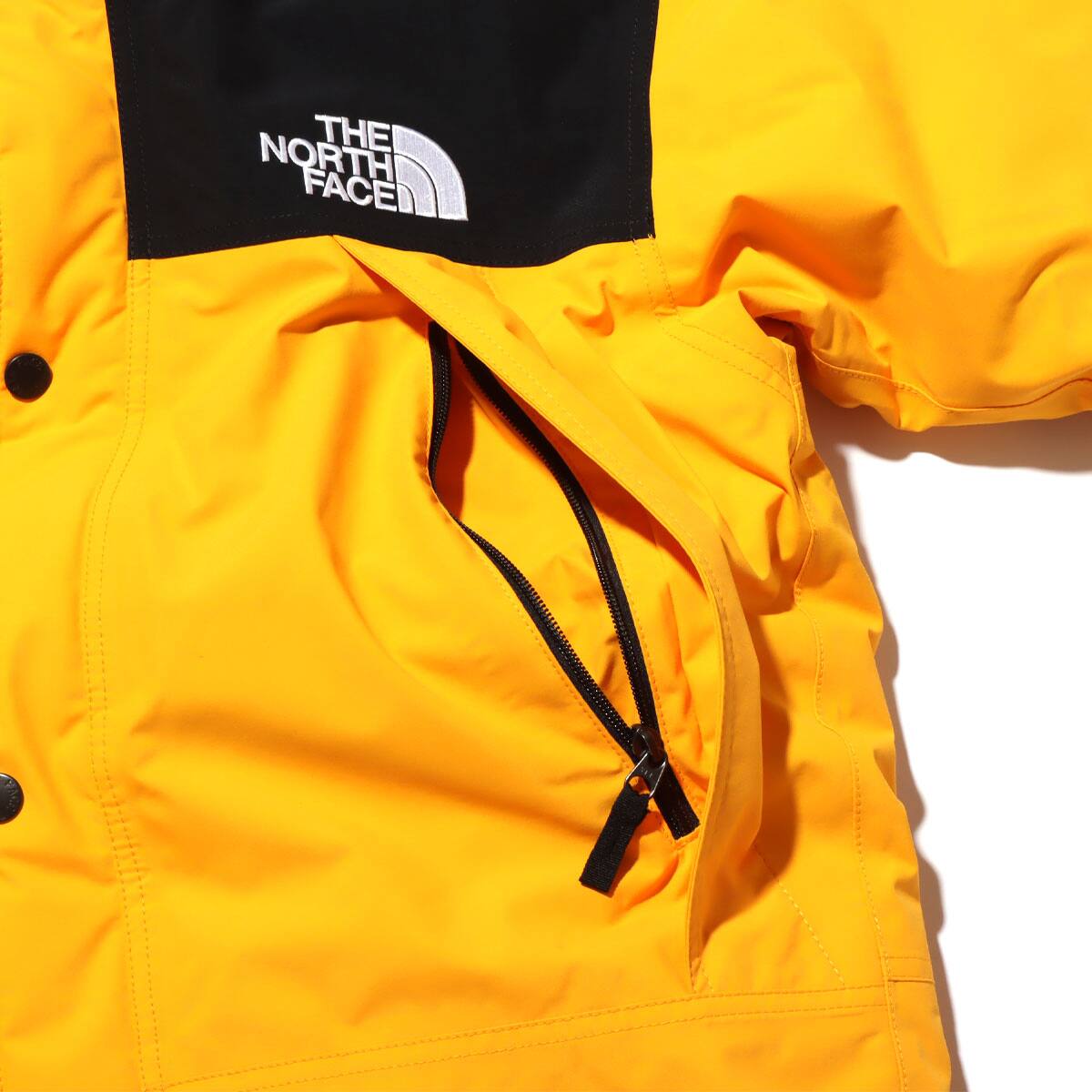 The gold mountain coat answer key picture