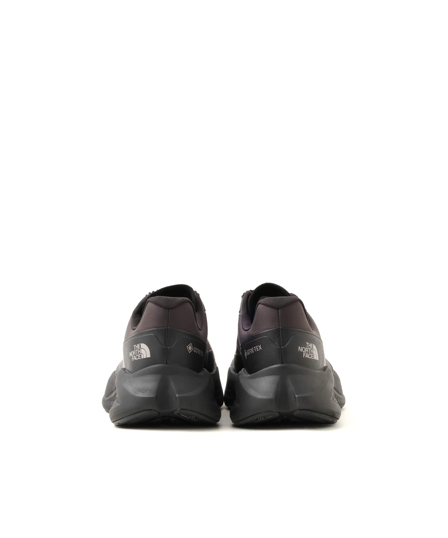 THE NORTH FACE ALTAMESA RD GORE-TEX TNFブラックの画像