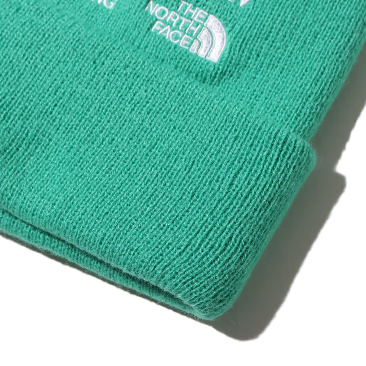 THE NORTH FACE EMBROID BULLET BEANIE クロロフGR 23FW-Iの画像