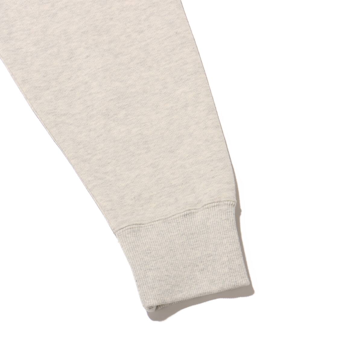 THE NORTH FACE Rearview Full Zip Hoodie オートミールの画像