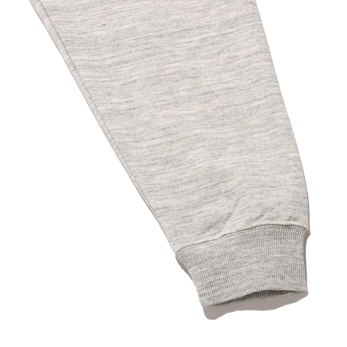 THE NORTH FACE NEVER STOP ING Hoodie ミックスグレーの画像