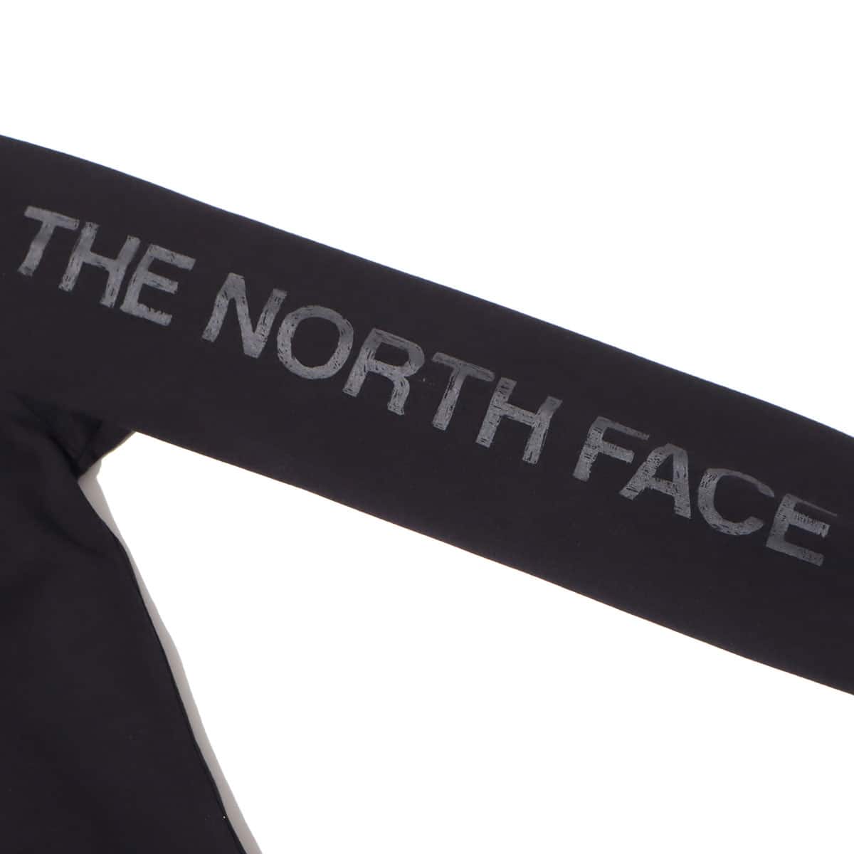 THE NORTH FACE L/S SLEEVE GRAPHIC TEE BLACK 22SS-Iの画像