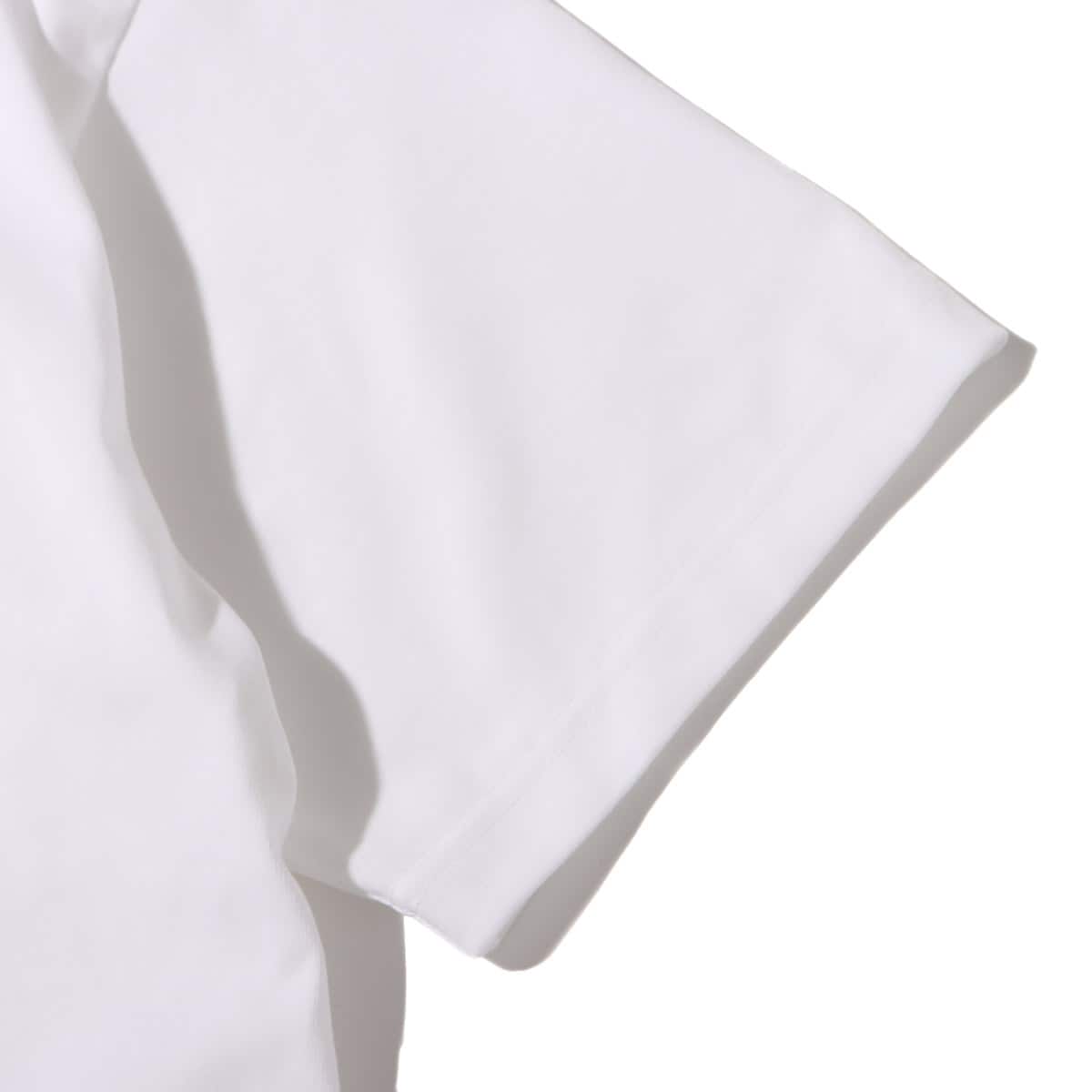 THE NORTH FACE S/S MONKEY MAGIC TEE WHITE 22SS-Iの画像