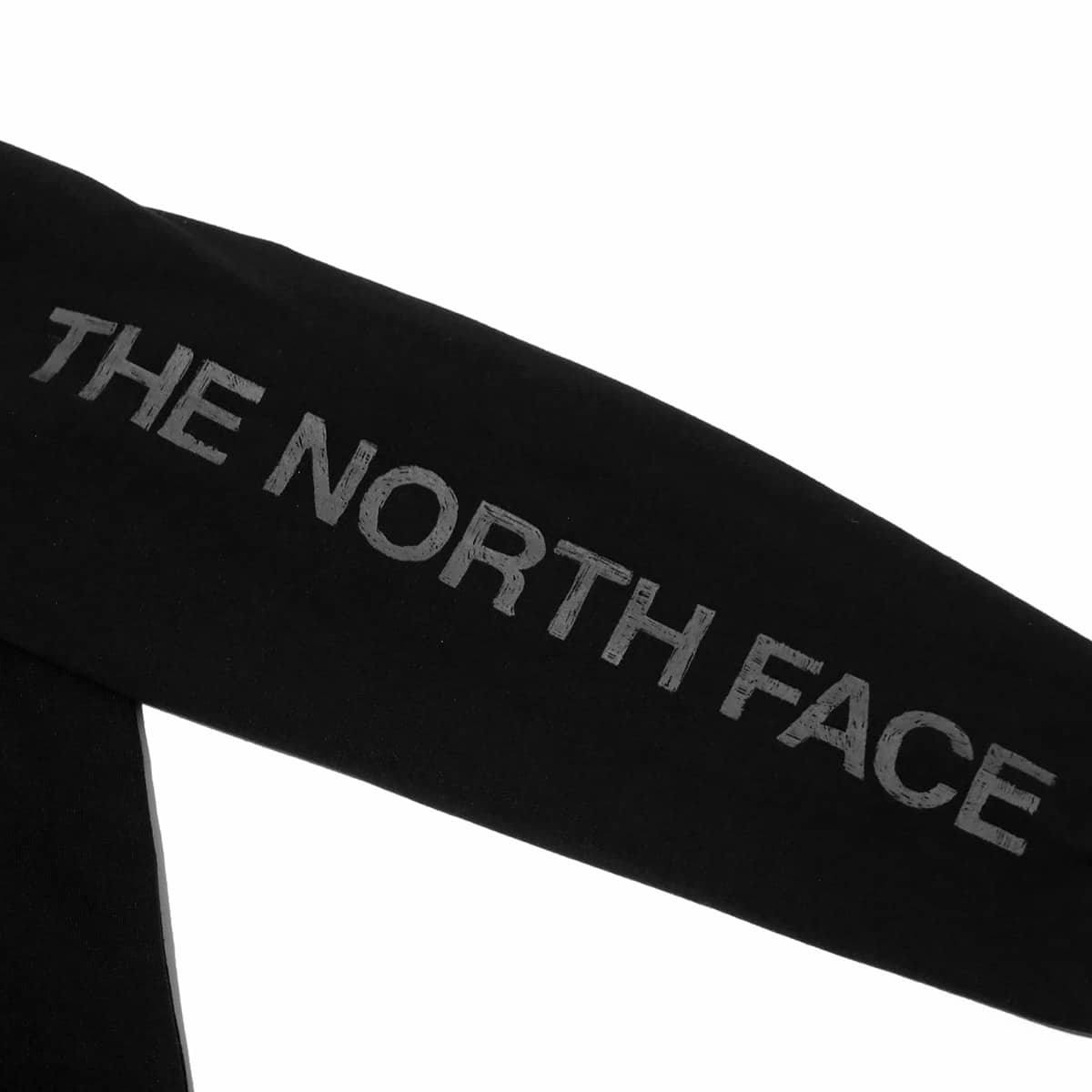 THE NORTH FACE L/S SLEEVE GRAPHIC TEE BLACK 23SS-Iの画像