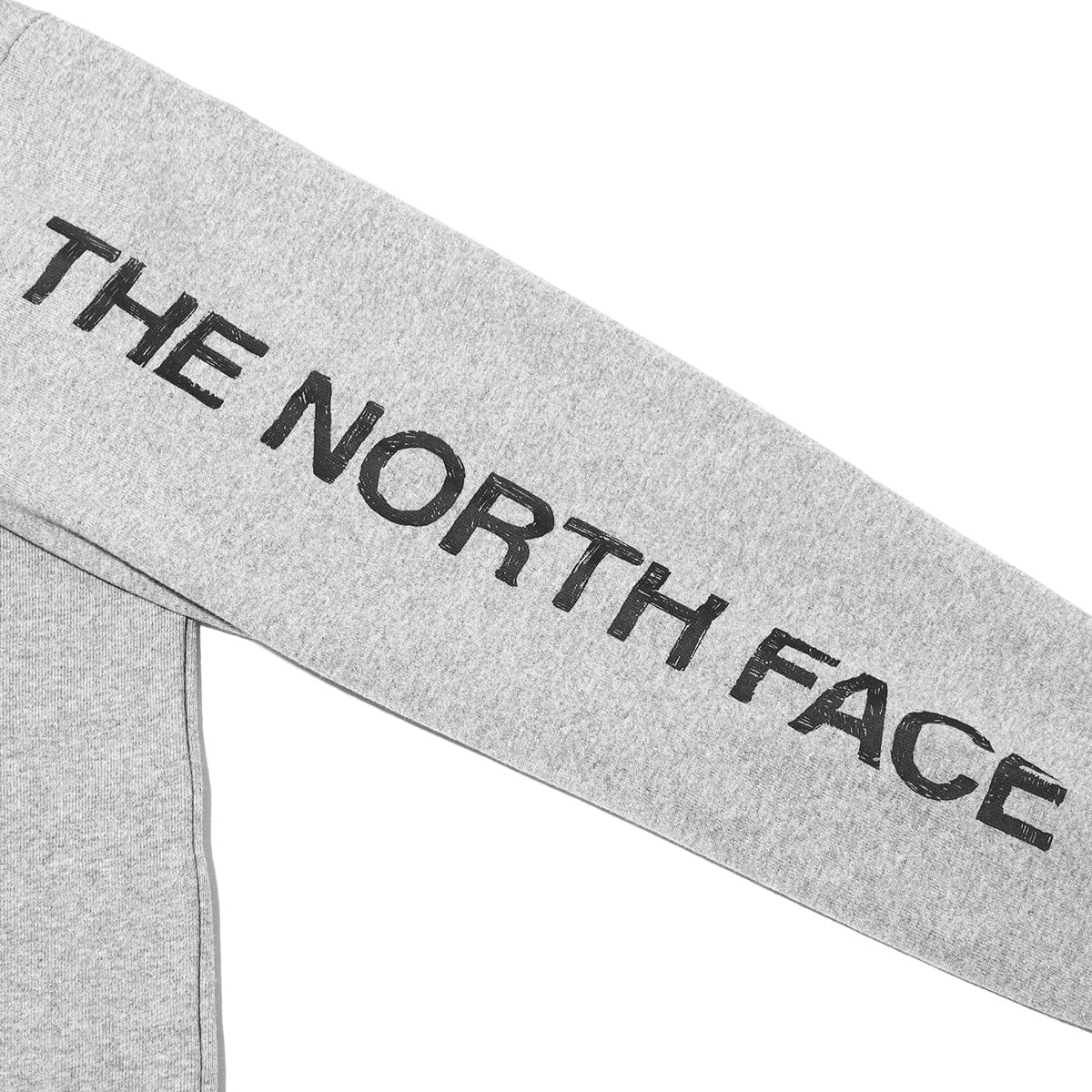 THE NORTH FACE L/S SLEEVE GRAPHIC TEE ミックスグレー 23SS-I