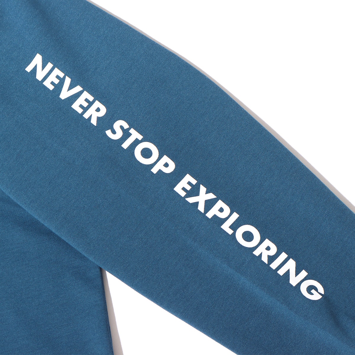 THE NORTH FACE L/S DIGITAL LOGO TEE モントレーブルー 21FW-Iの画像