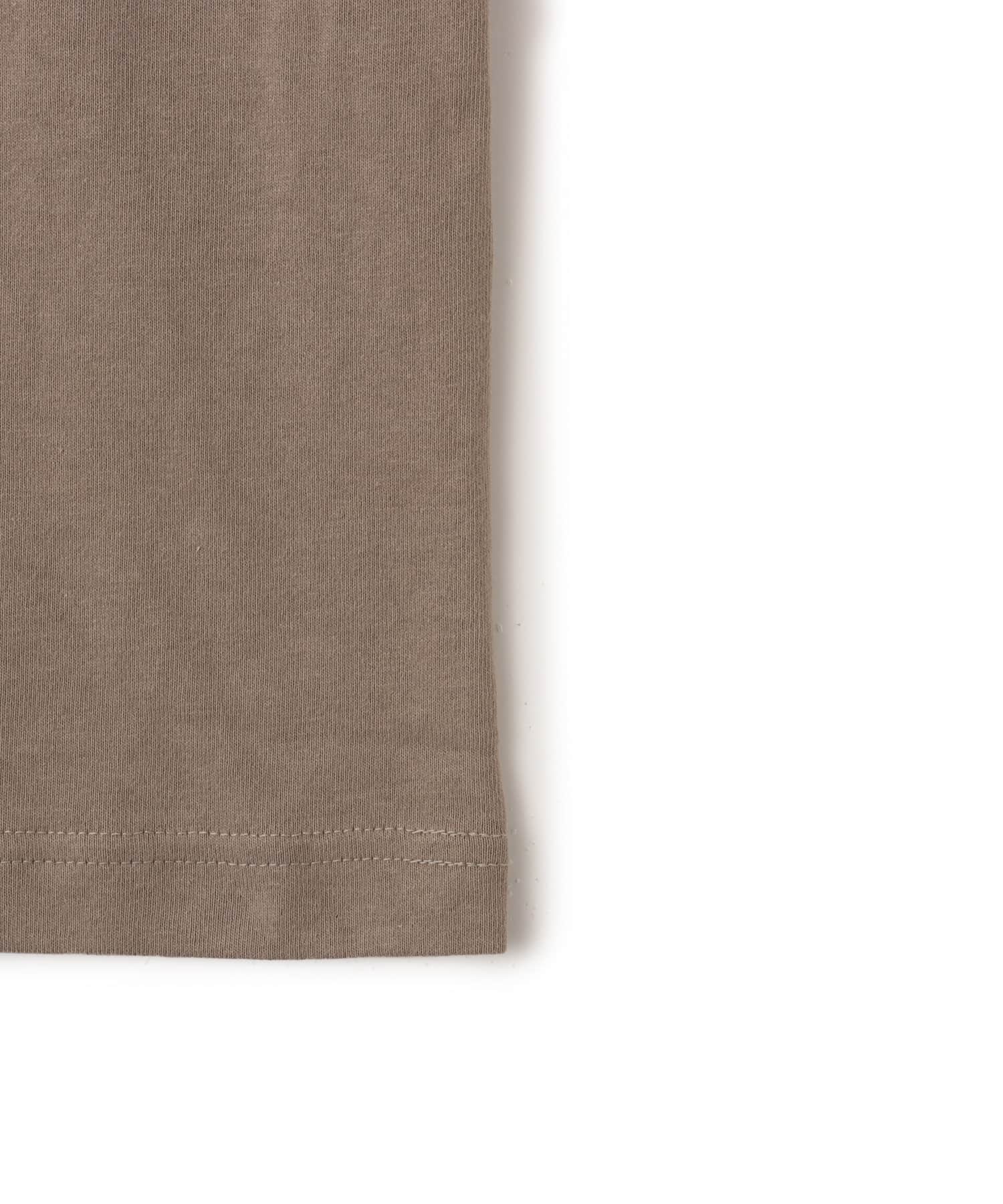 THE NORTH FACE S/S FINE ALPINE Mountain Tee MUSHROOMの画像