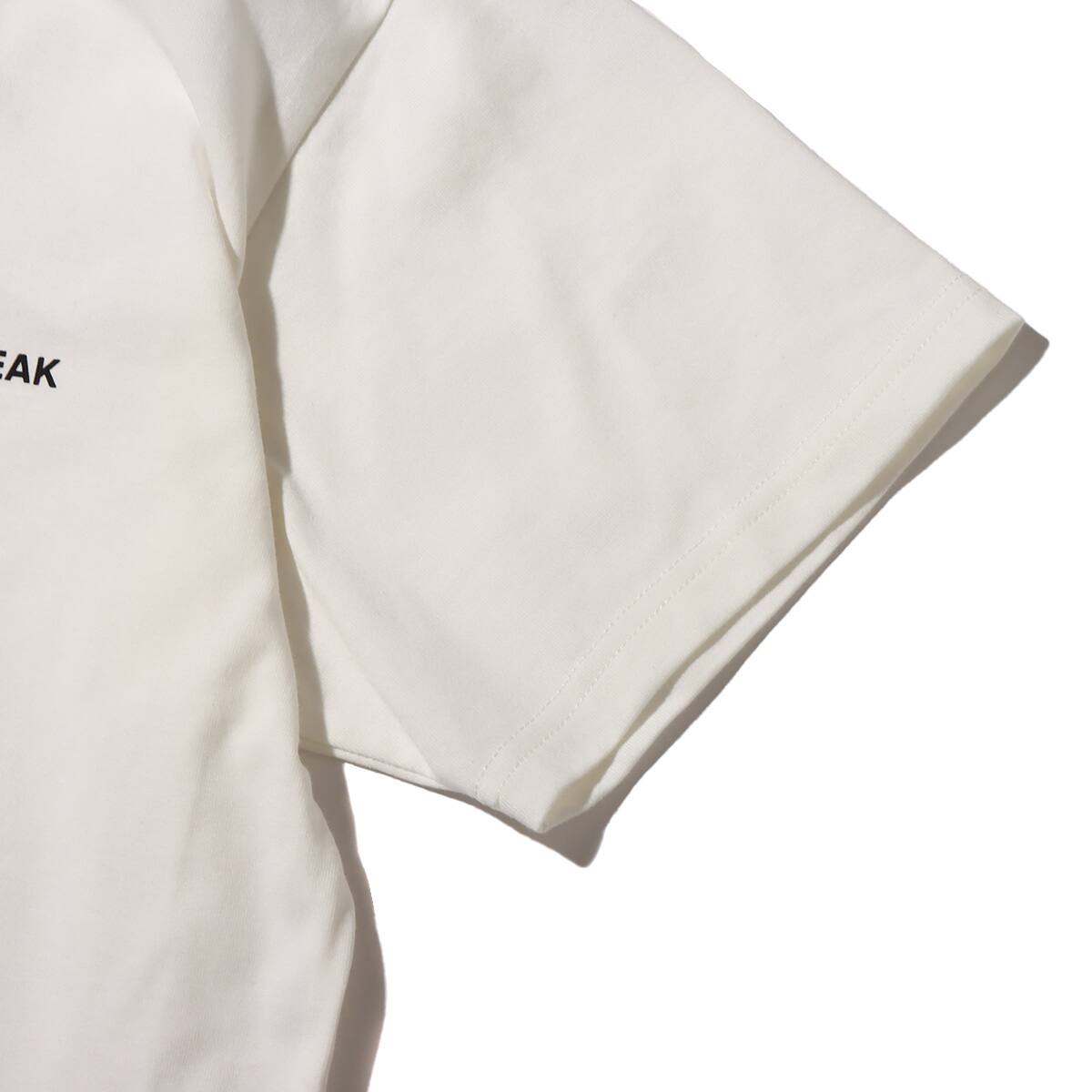 snow peak Relaxin' Fieldscape T shirt White 23SP-Iの画像