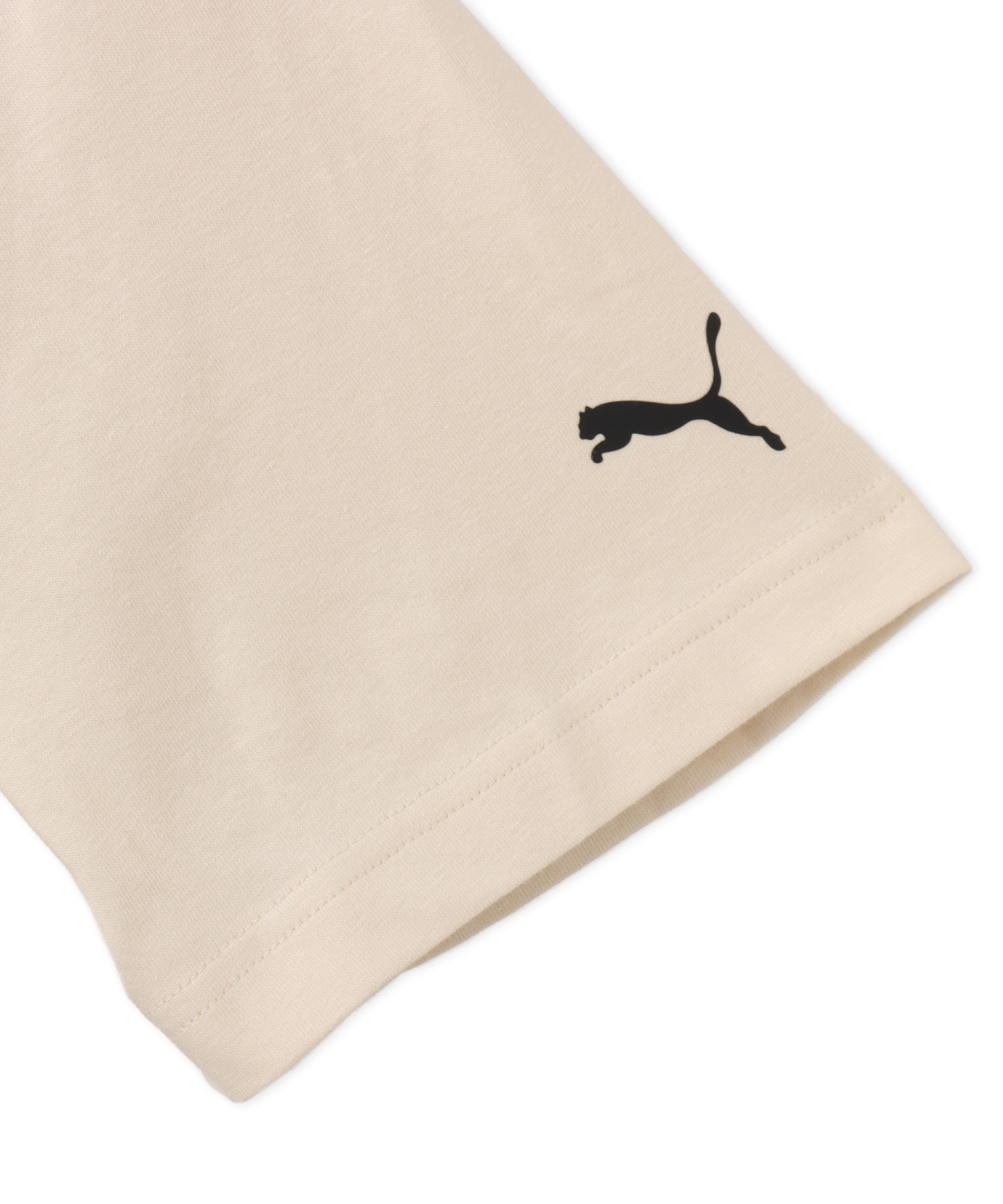 PUMA PUMA X POKEMON RELAXED GRAPHIC TEE ALPINE SNOWの画像