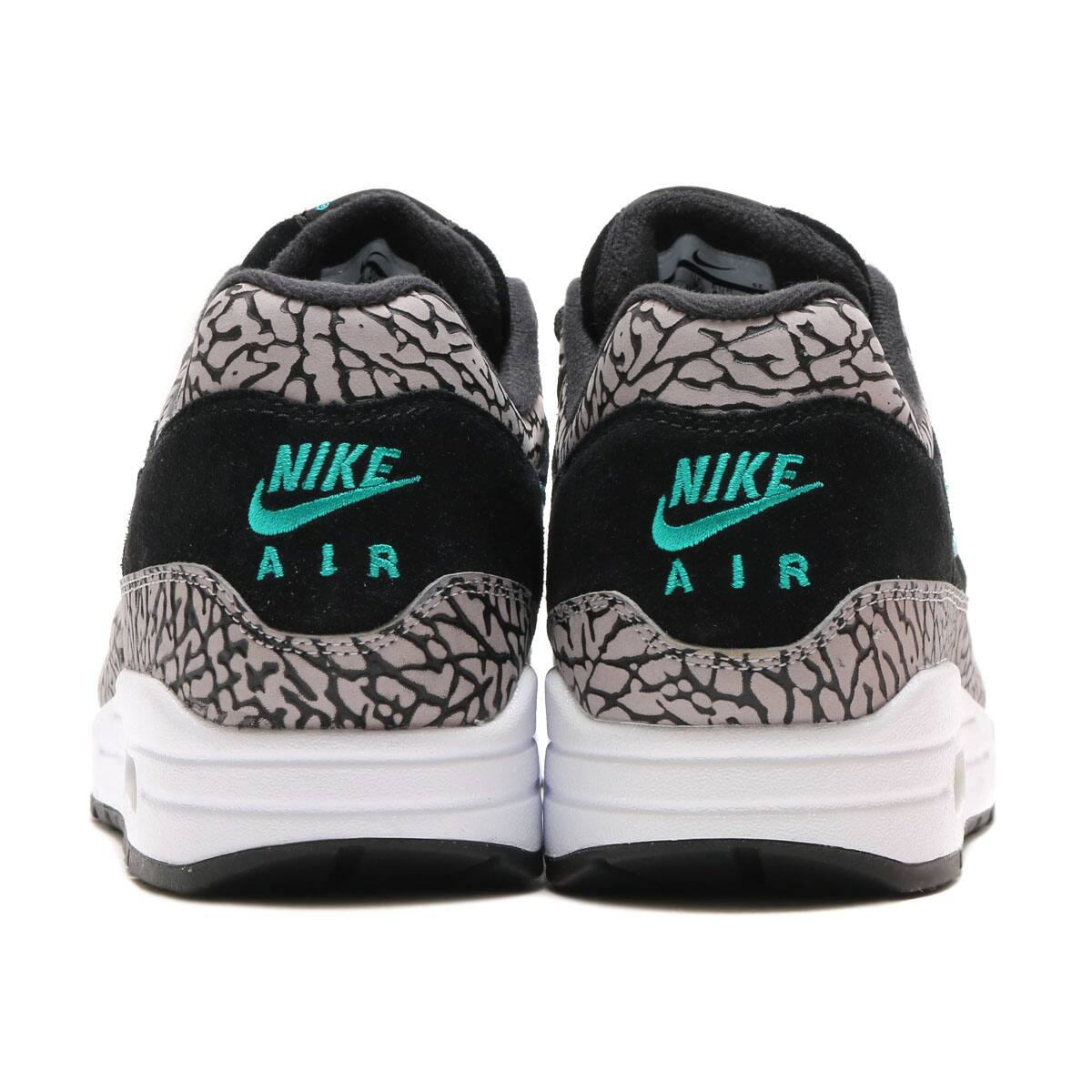 air max 1 atmos print