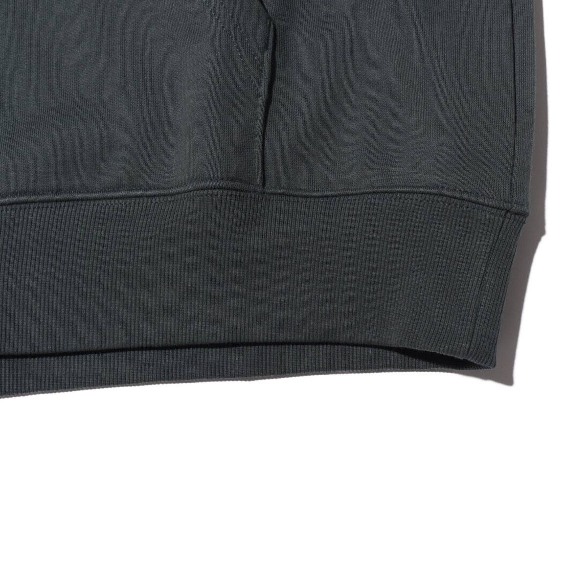 CARHARTT HOODED CARHARTT TRICOL SWEATSHIRT Dark Teal の画像