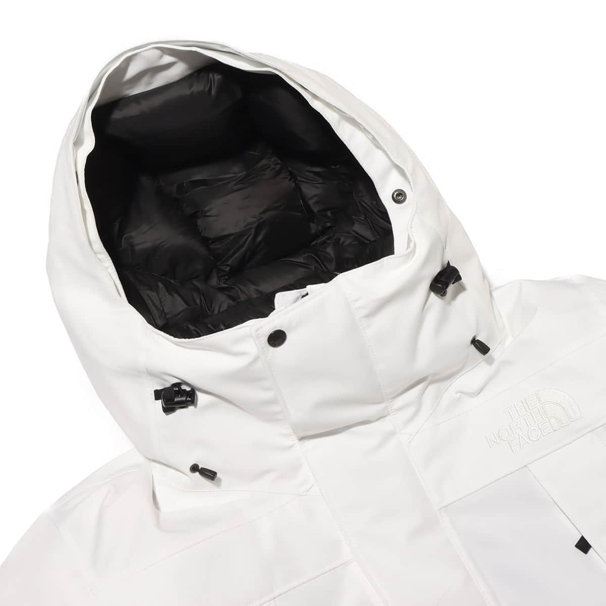 THE NORTH FACE UNDYED ANTARCTICA PARKA アンダイド 23FW-I