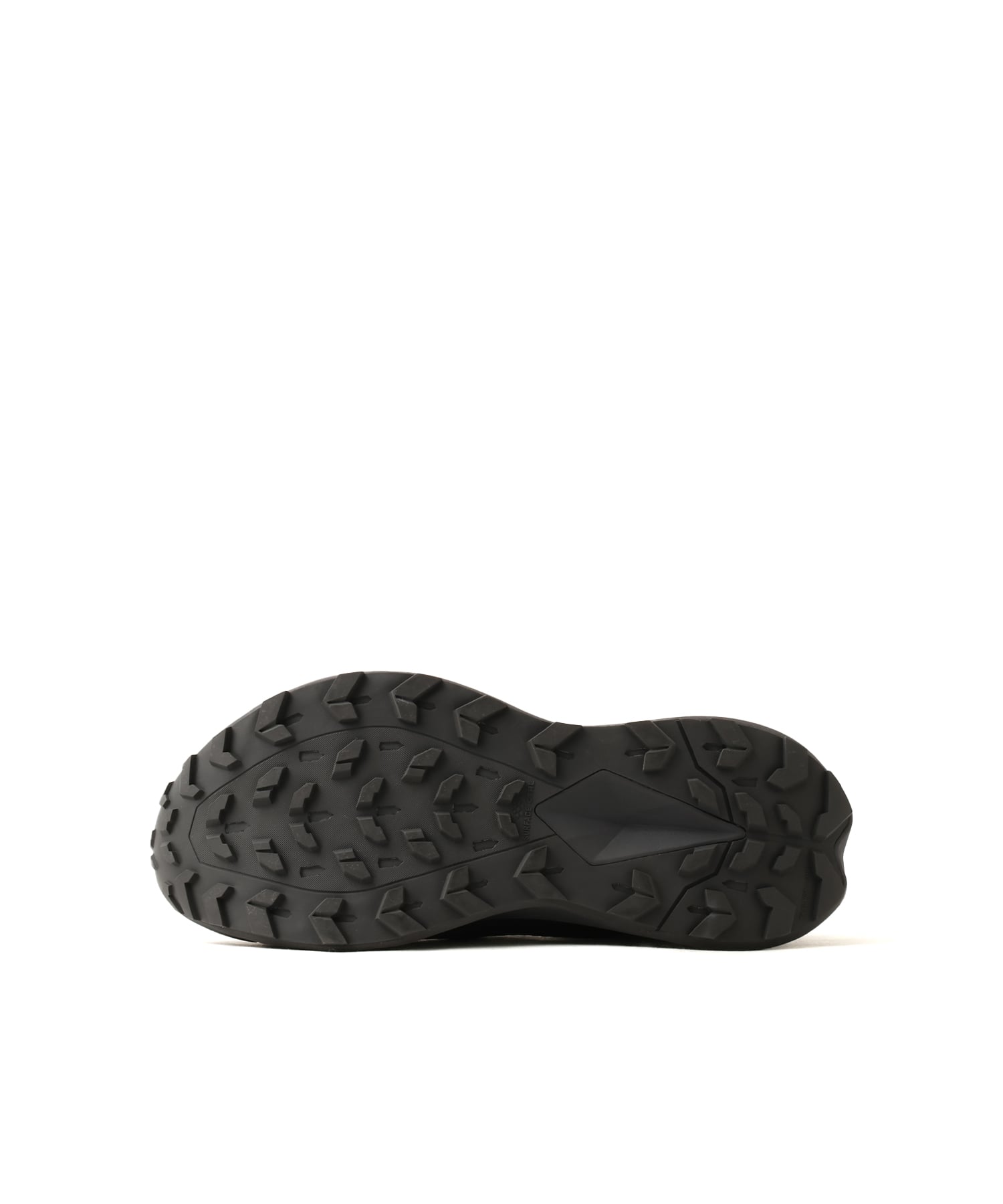 THE NORTH FACE VECTIV SUPPLE GORE-TEX スモークドパールxグラファイトグレーの画像