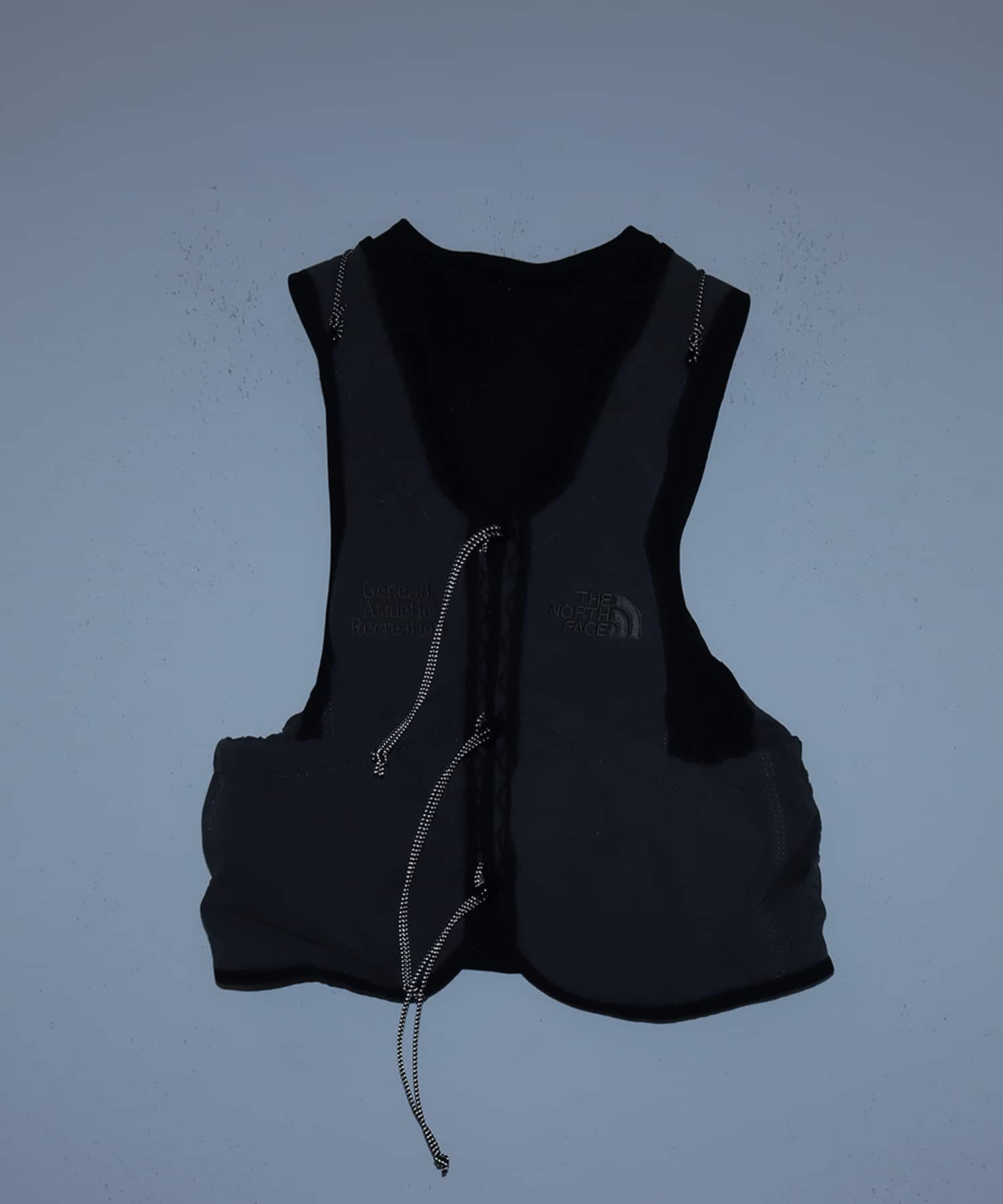 THE NORTH FACE GAR Vest パシェグレーの画像