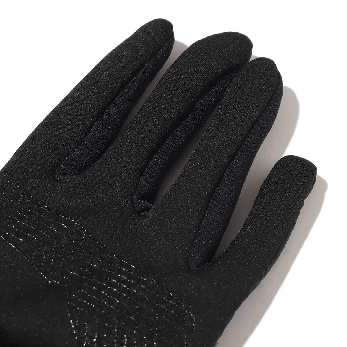 THE NORTH FACE DENALI E TIP GLOVE ニュートープ 21FW-Iの画像