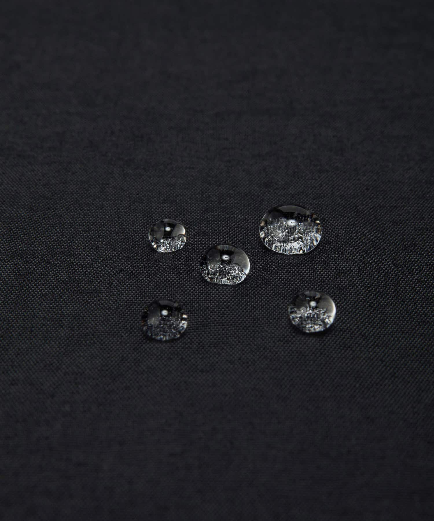 THE NORTH FACE Compact Hooded Vest ブラックの画像