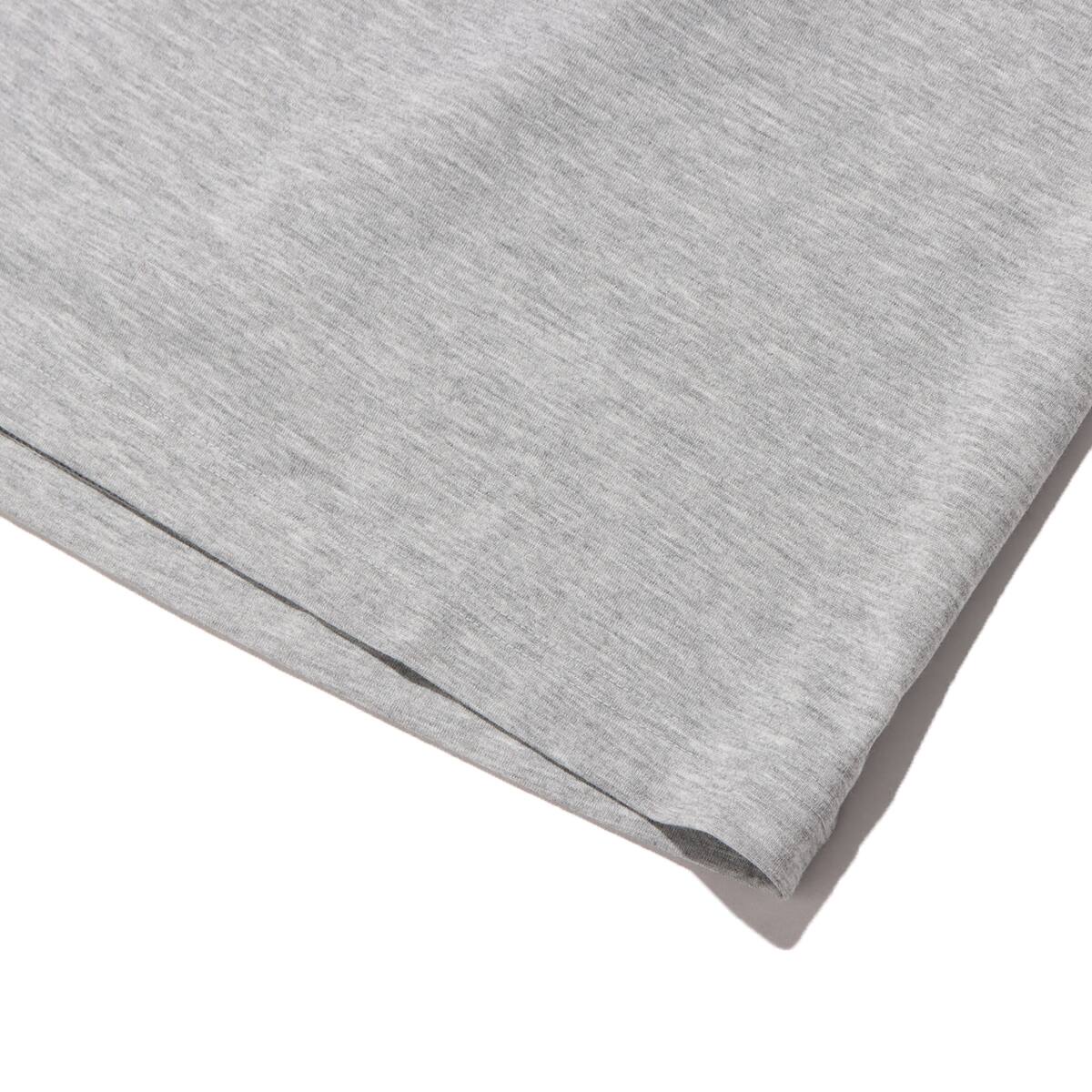 THE NORTH FACE S/S COLOR DOME TEE MIX GRAY 22SS-Iの画像