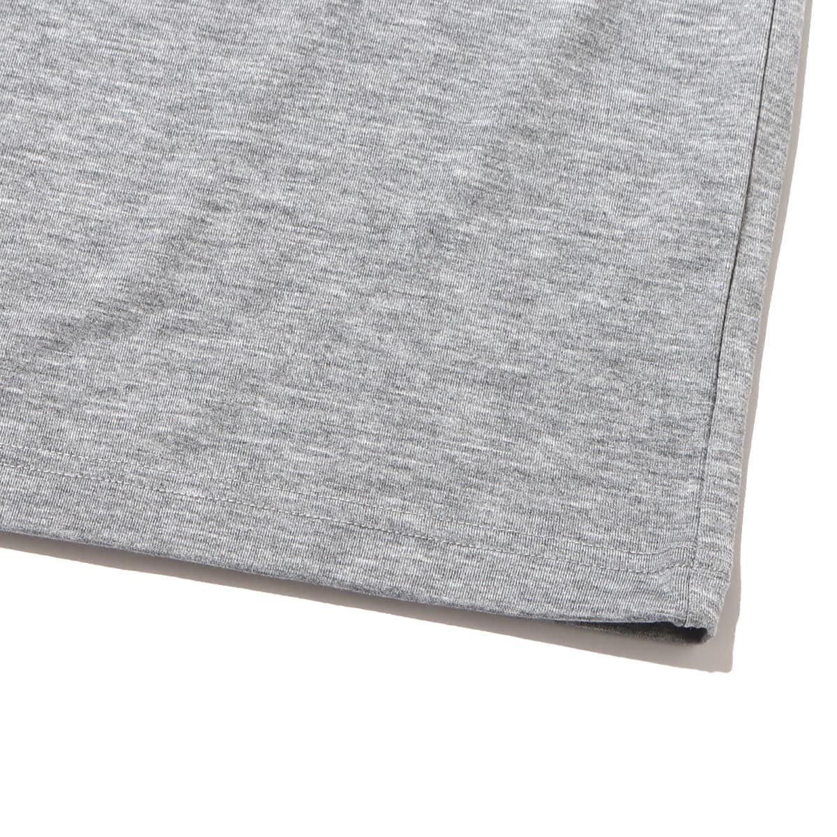 THE NORTH FACE S/S HISTORICAL ORIGIN TEE MIXGRAY 22SS-Iの画像