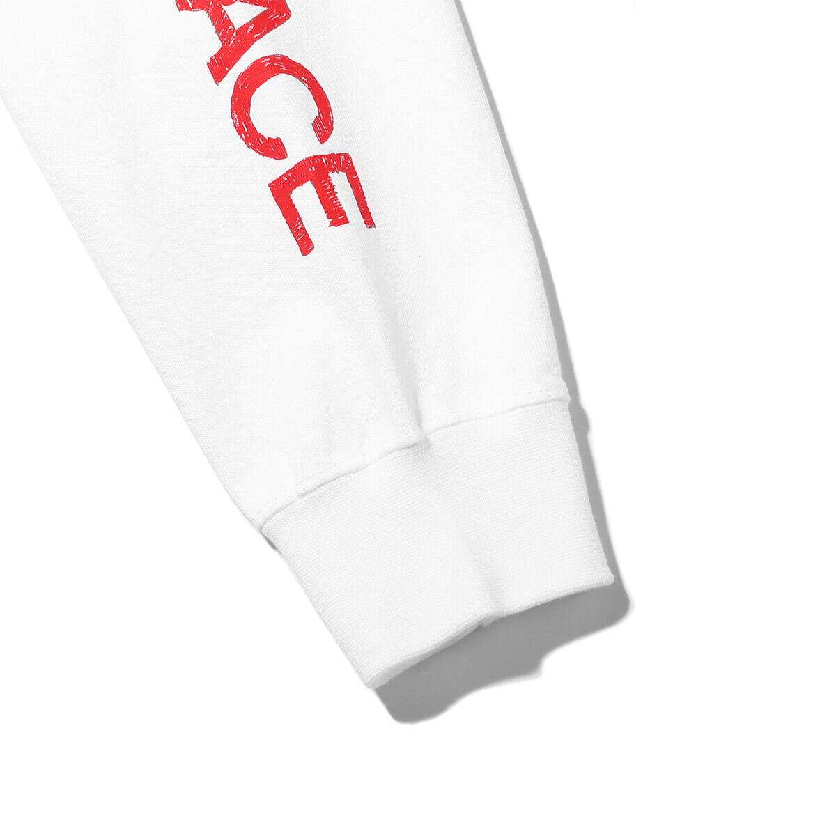 THE NORTH FACE L/S SLEEVE GRAPHIC TEE ホワイト 23SS-Iの画像