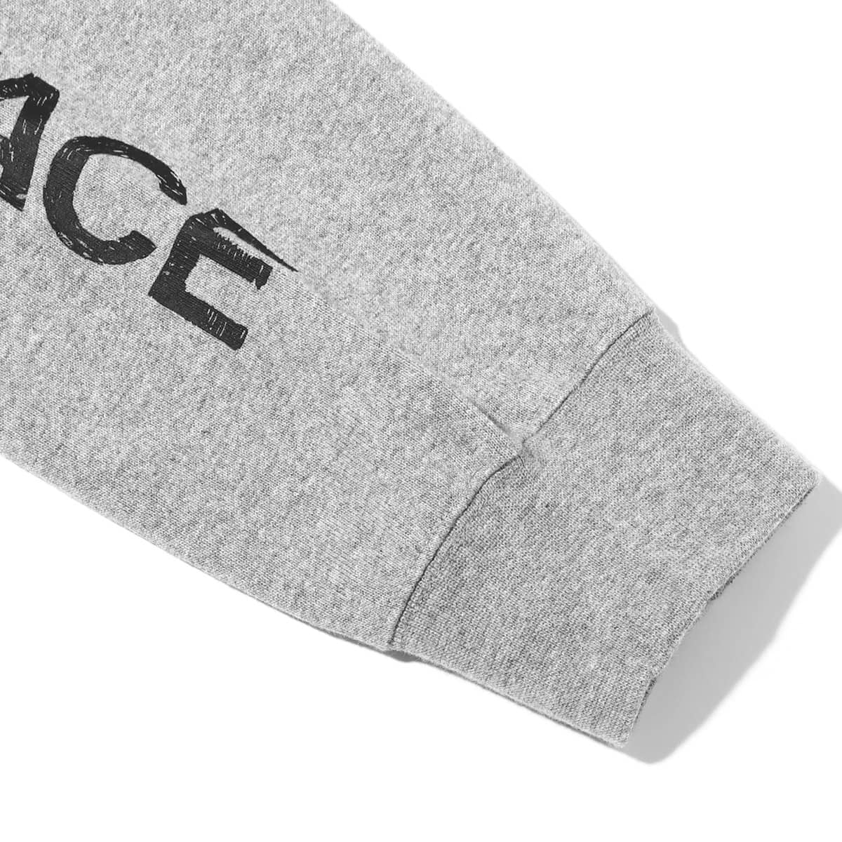 THE NORTH FACE L/S SLEEVE GRAPHIC TEE ミックスグレー 23SS-Iの画像