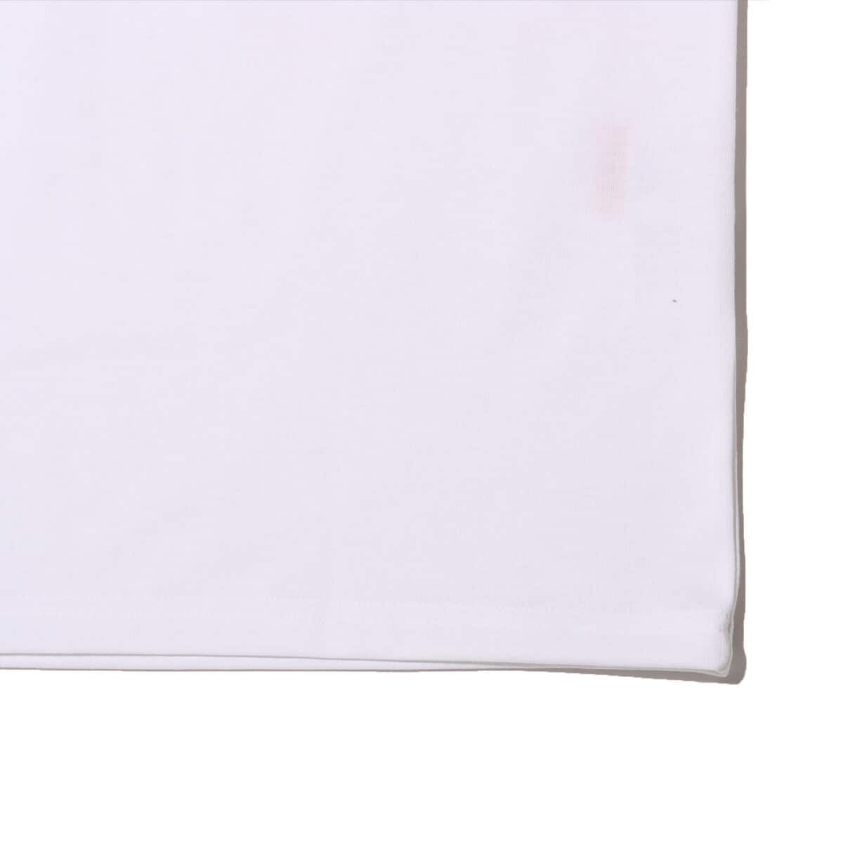 THE NORTH FACE S/S Square Mountain Logo Tee ホワイトの画像