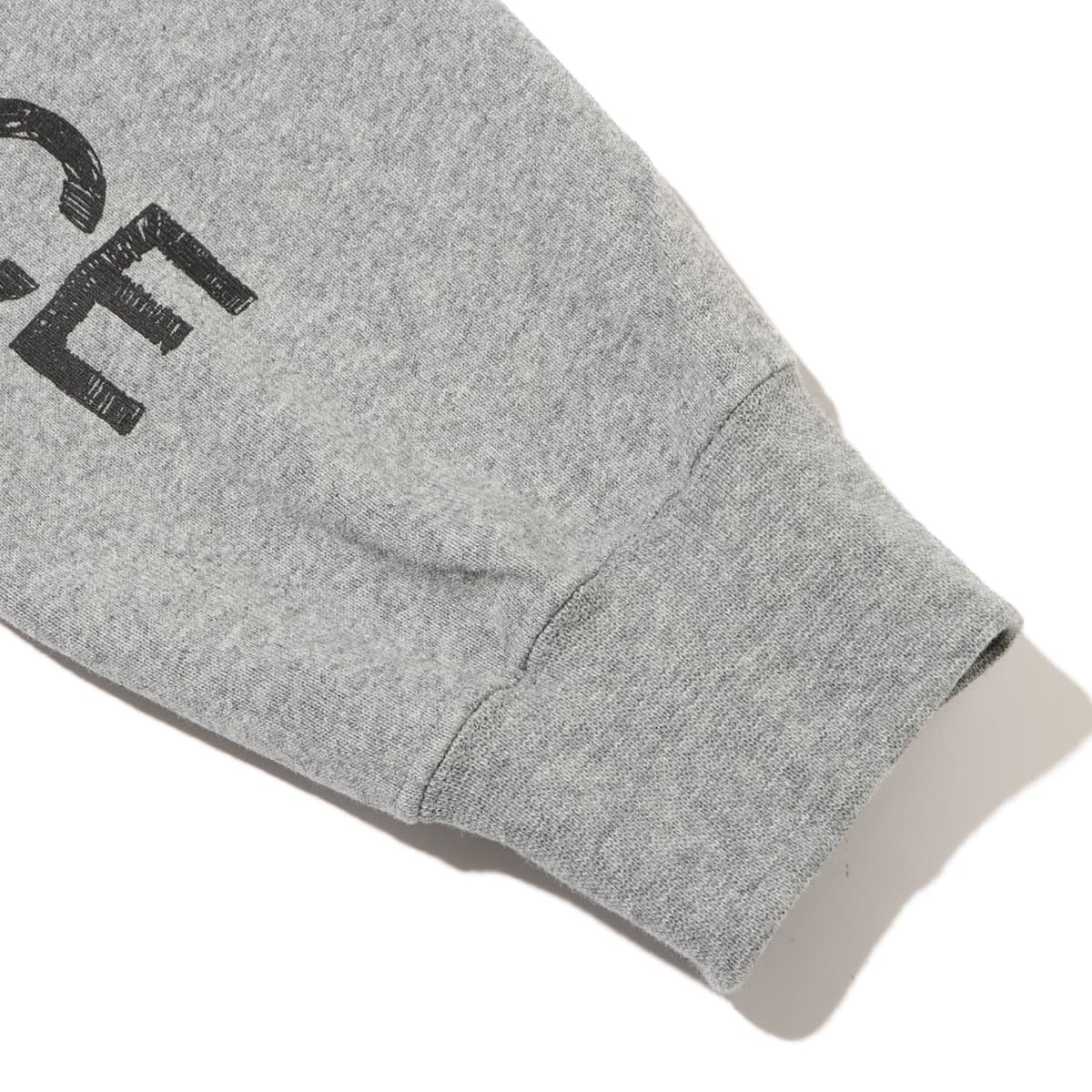 THE NORTH FACE L/S Sleeve Graphic Tee ミックスグレー 24SS-Iの画像