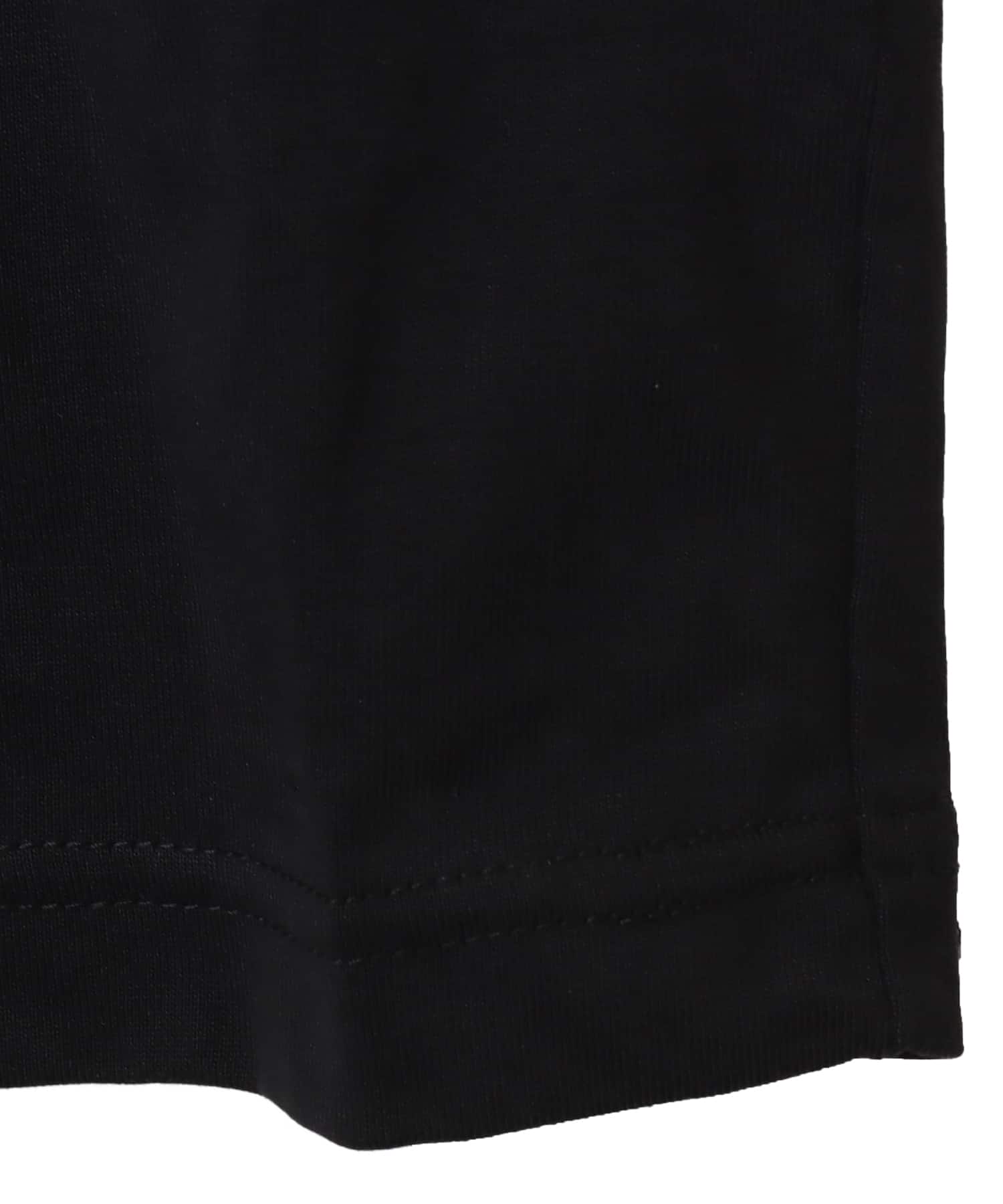 THE NORTH FACE L/S FD Nuptse Cotton Tee ブラックの画像
