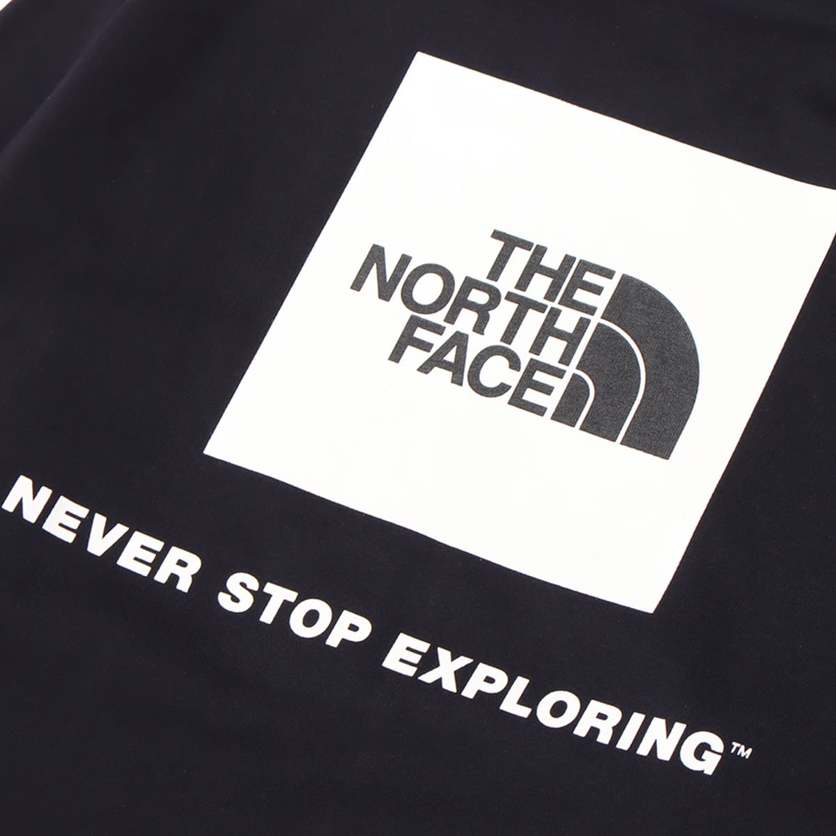 THE NORTH FACE L/S BACK SQUARE LOGO TEE アビエイターネイビー 21FW-Iの画像