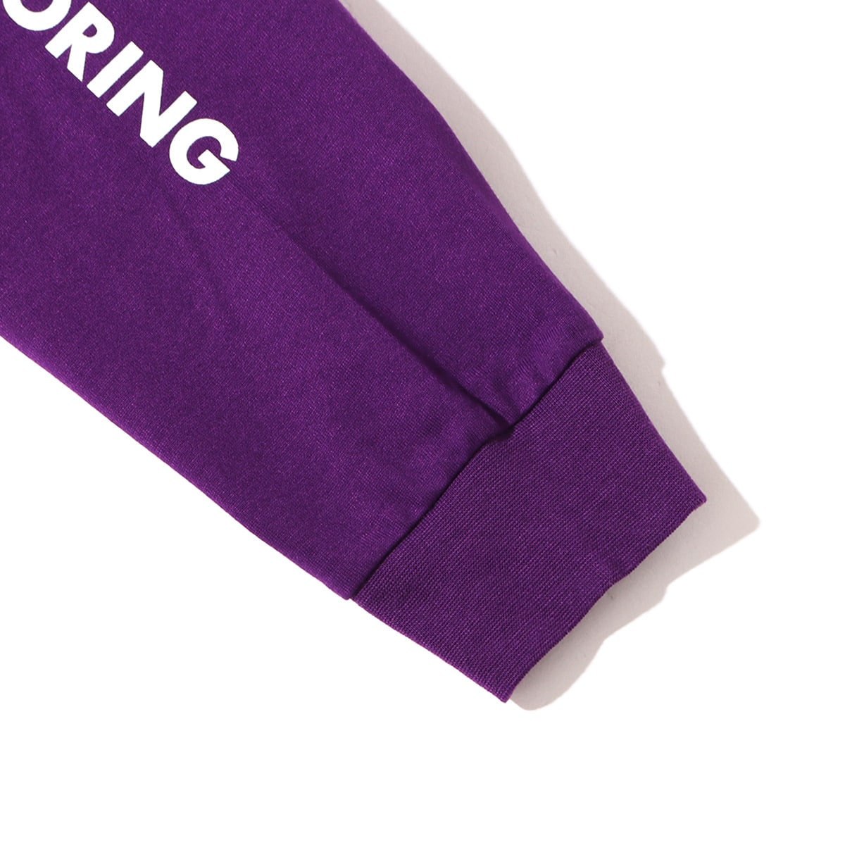 THE NORTH FACE L/S DIGITAL LOGO TEE グラビィティパープル 21FW-Iの画像