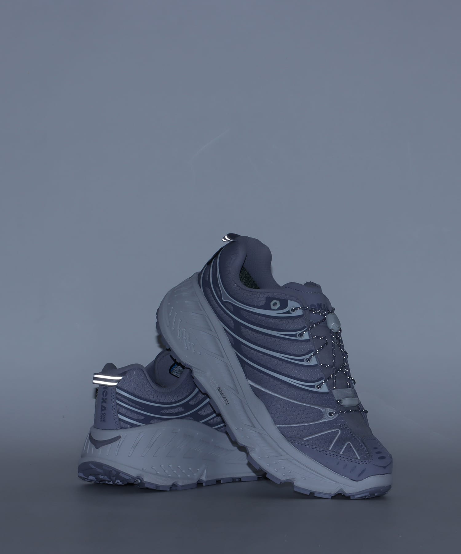 HOKA STINSON EVO GTX GRAYの画像