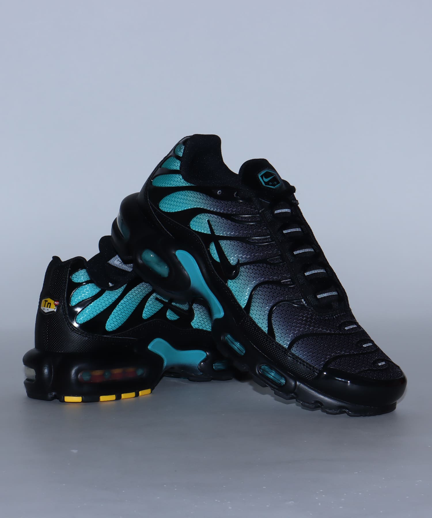 NIKE AIR MAX PLUS BLACK/BLACK-DUSTY CACTUSの画像