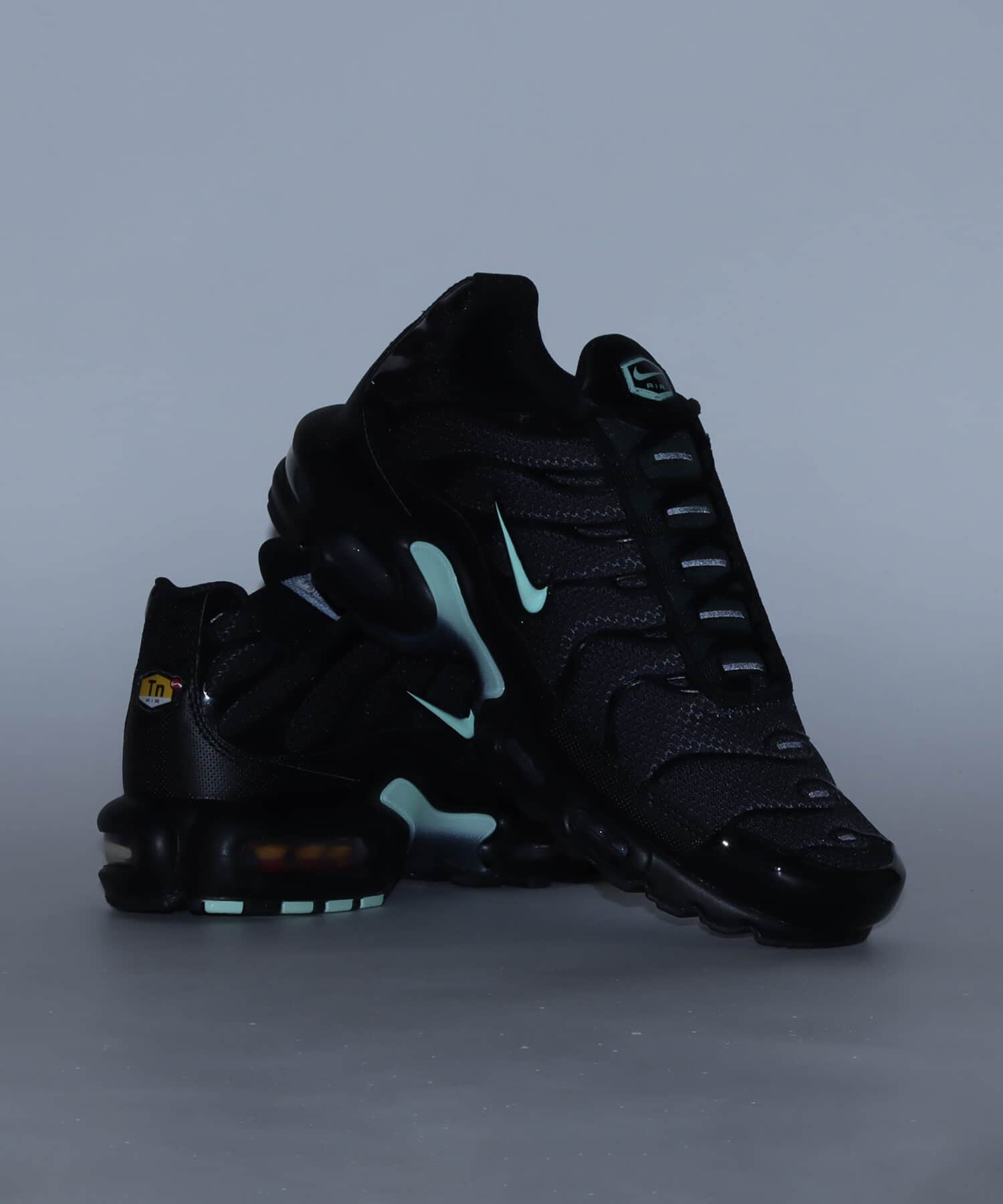 NIKE AIR MAX PLUS BLACK/MINT FOAM-DK SMOKE GREYの画像