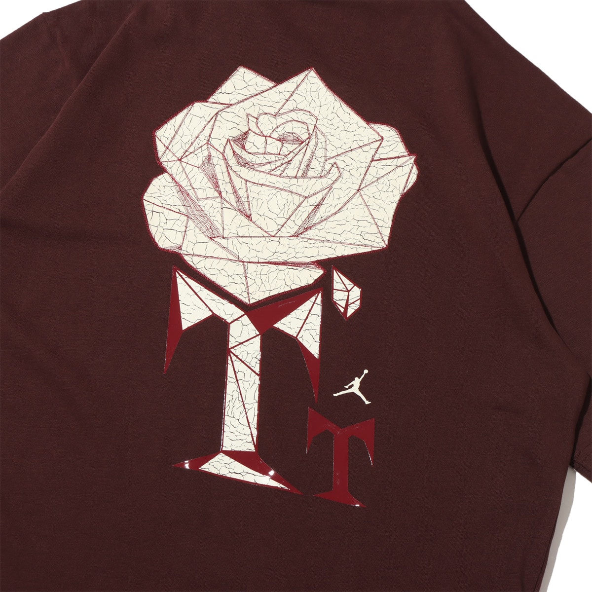 JORDAN BRAND AS W J SP TT VINTAGE TEE EARTH 23SU-Sの画像