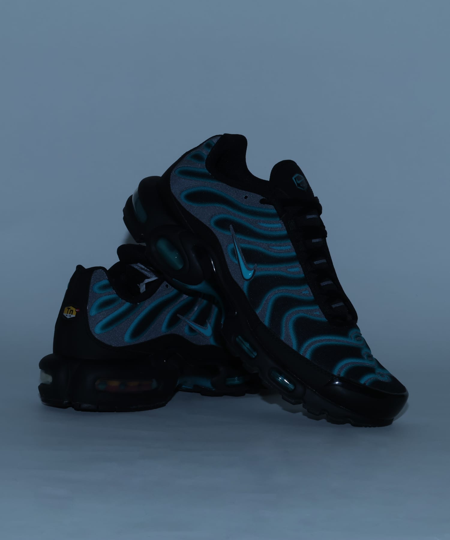 NIKE AIR MAX PLUS BLACK/DUSTY CACTUSの画像