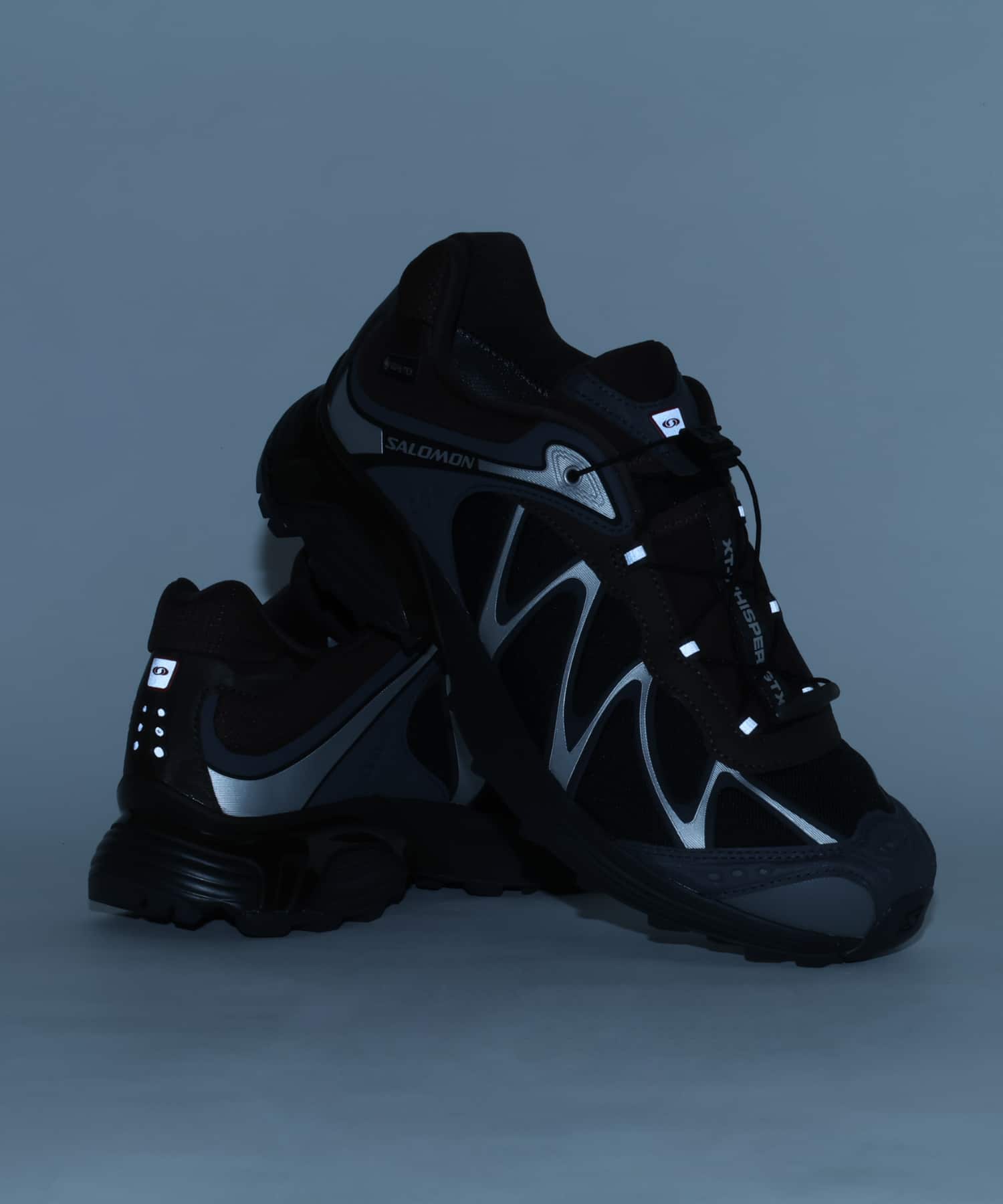 SALOMON XT-WHISPER GTX DELICIOSO/ASPHALT/CASTLEROCKの画像