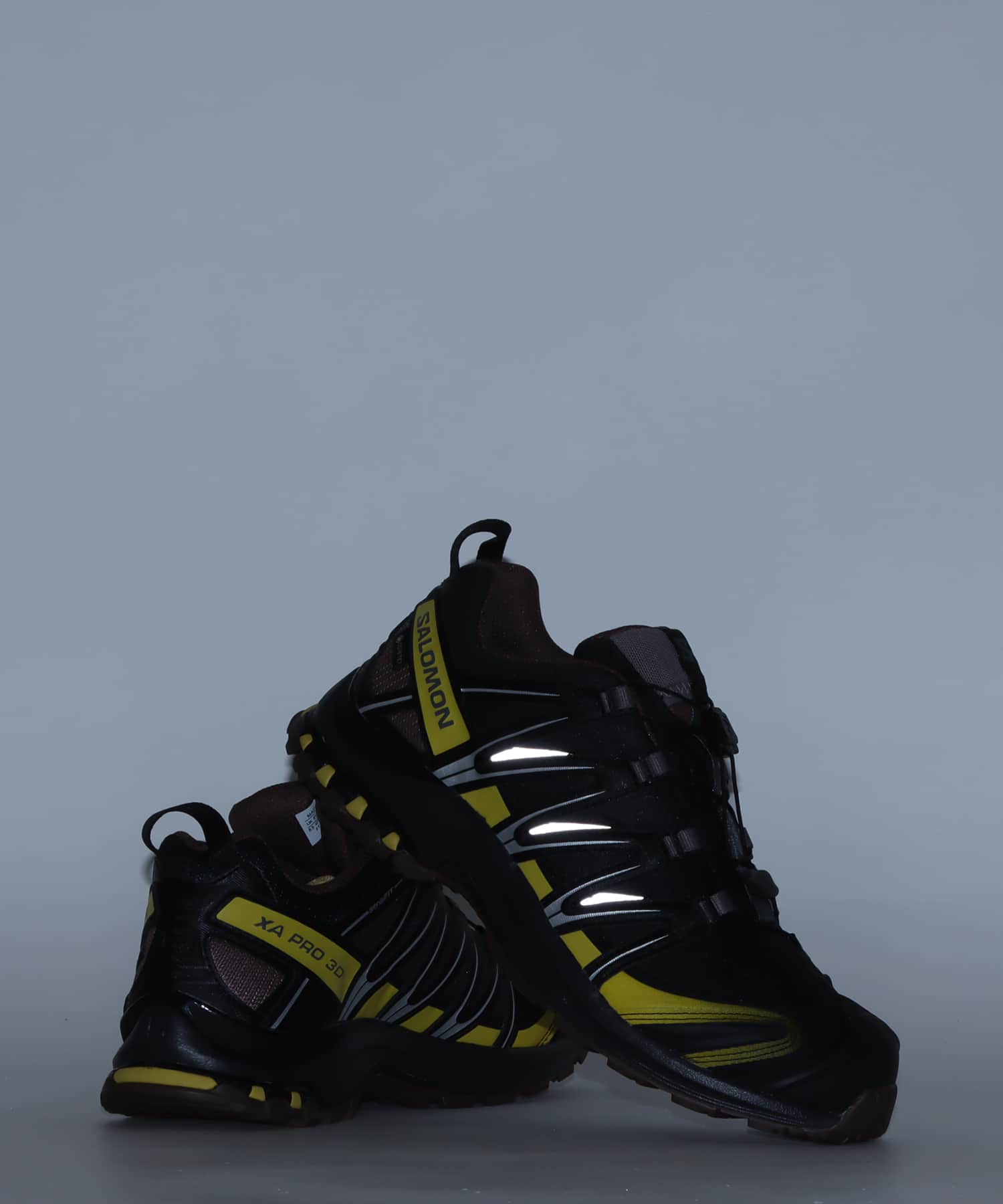 SALOMON XA PRO 3D GTX Black/Cress Green/French Roastの画像