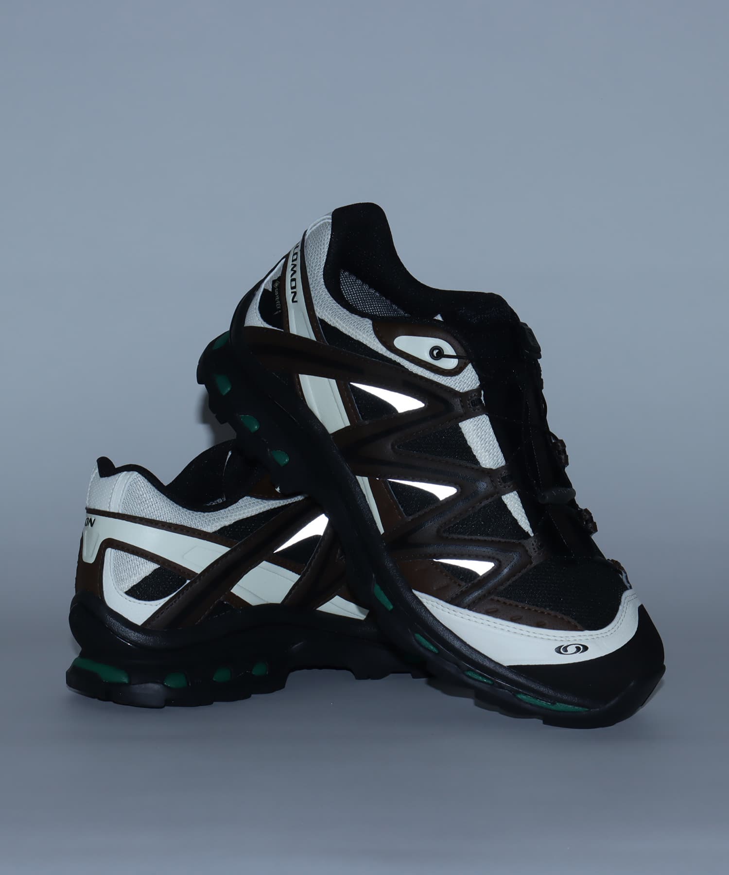 SALOMON XT-QUEST GTX Black/Delicioso/Green Jacketの画像