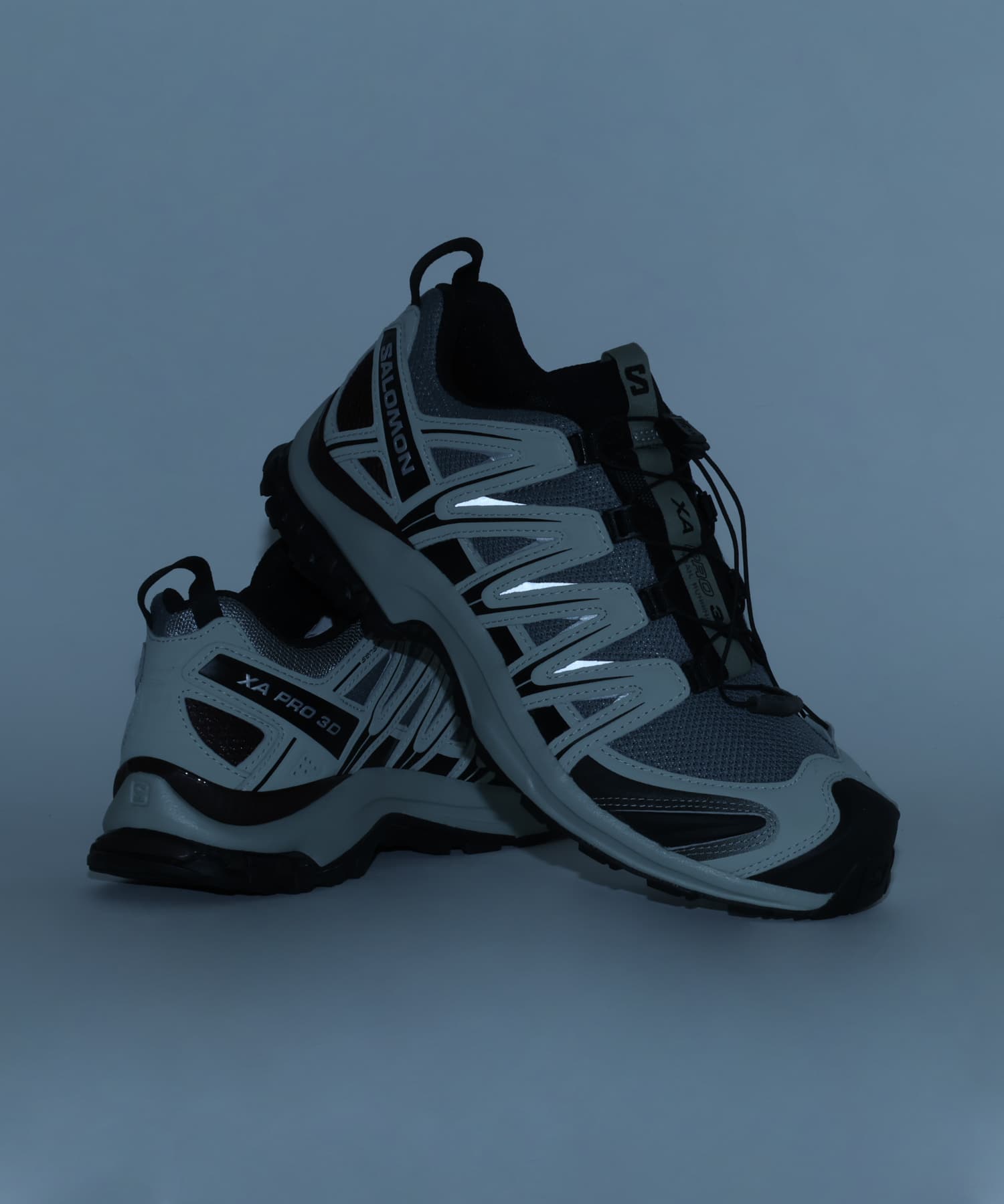 SALOMON XA PRO 3D WROUGHT IRON/SEDONA SAGE/BLACK COFFEEの画像