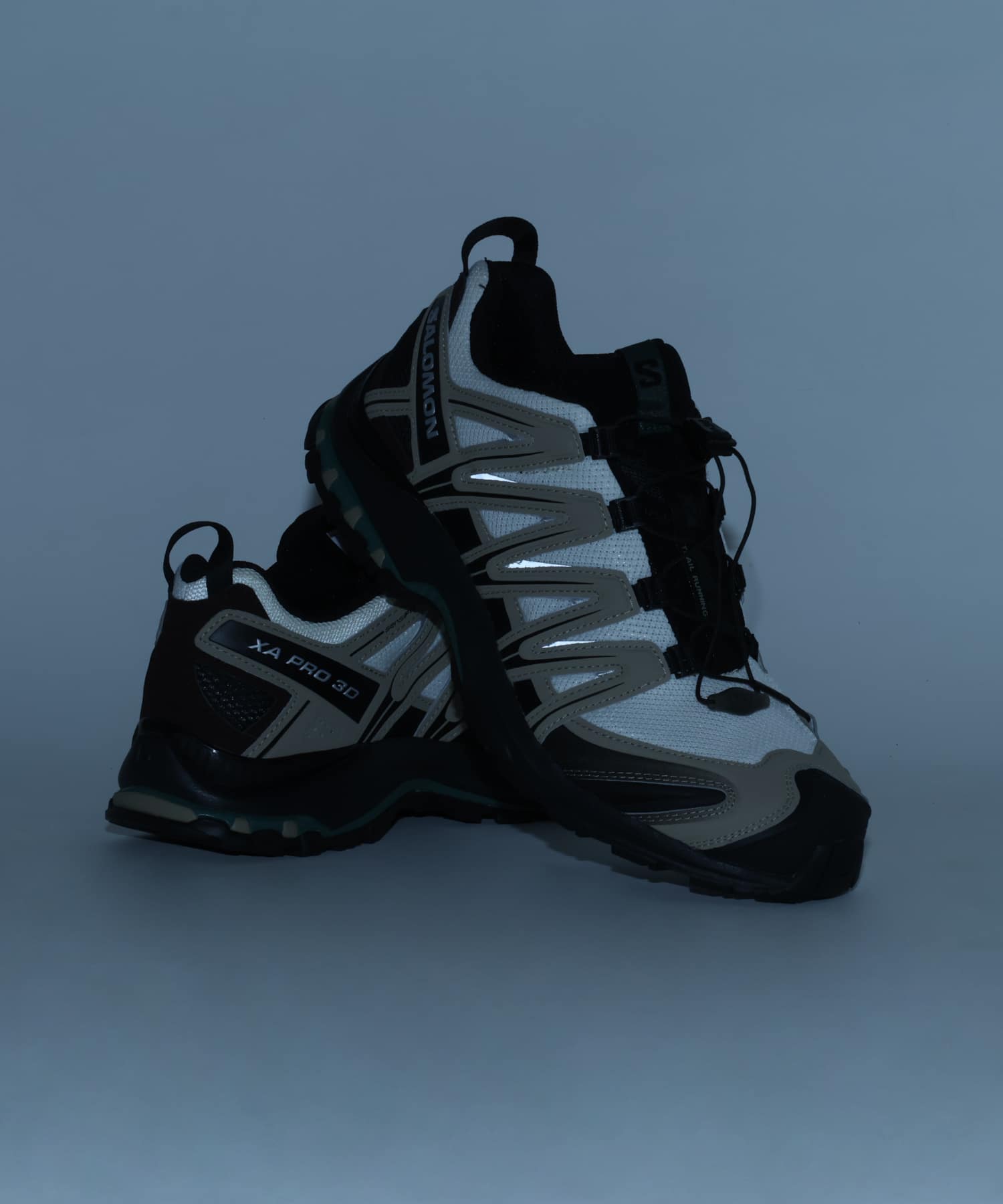 SALOMON XA PRO 3D SILVER SAGE/VANILLA ICE/BISTRO GREENの画像