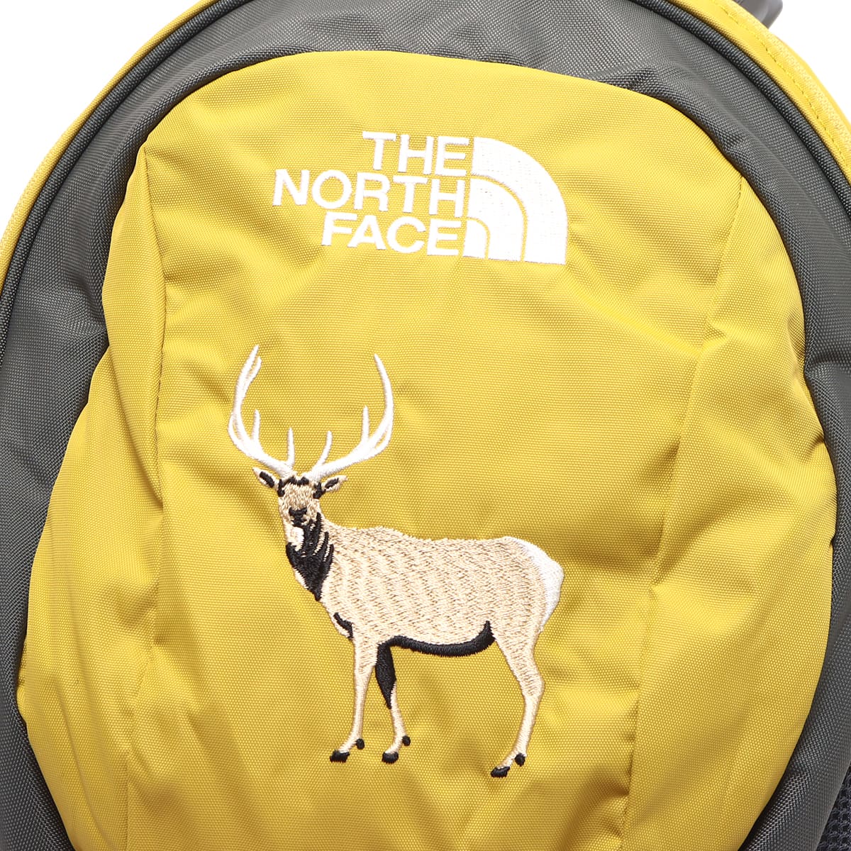 THE NORTH FACE KIDS HOMESLICE ミネラルゴールド 22FW-Iの画像